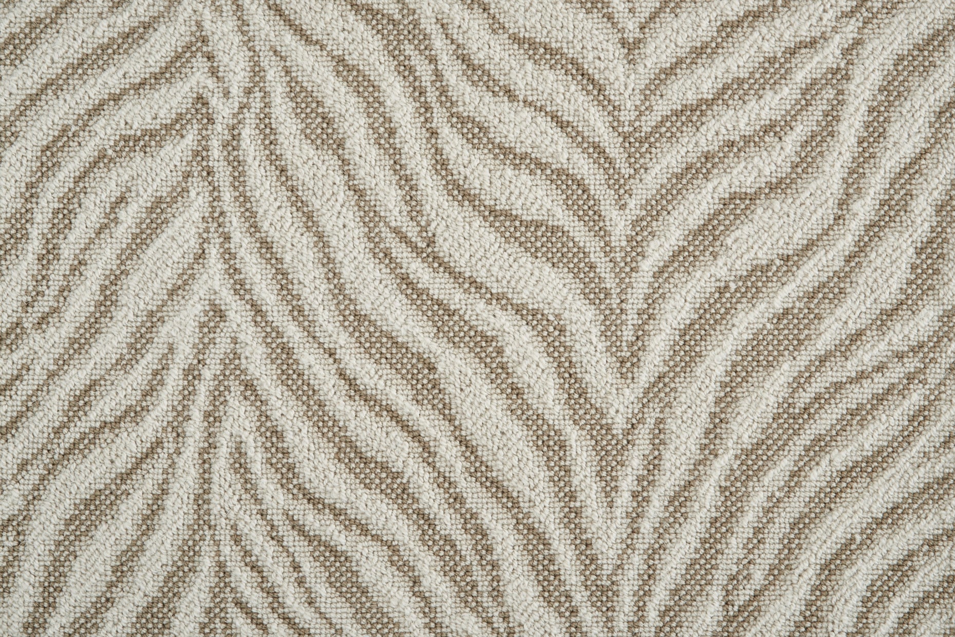 Talia - Breaker White - LuxCut Carpet
