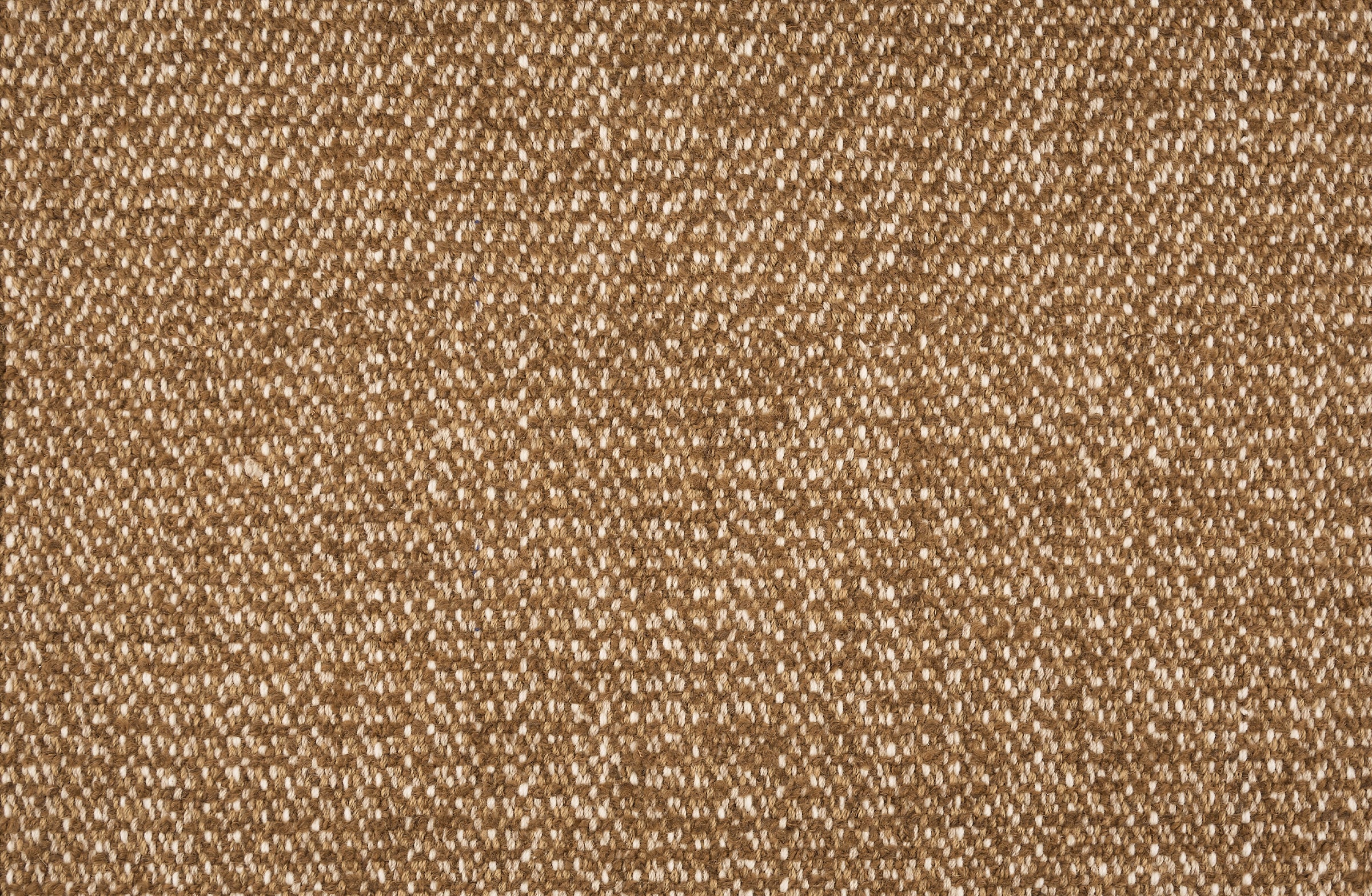 Aiden - Admiral - LuxCut Carpet