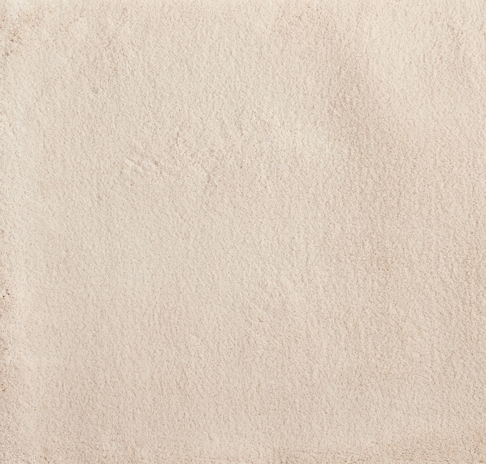 Cha Cha - Snow - LuxCut Carpet