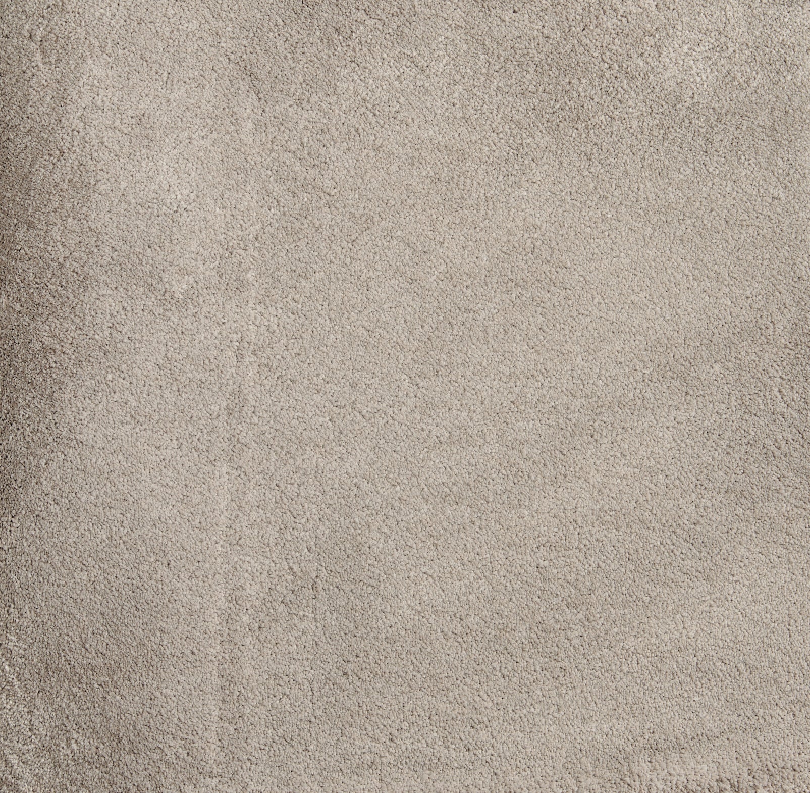 Cha Cha - Snow - LuxCut Carpet