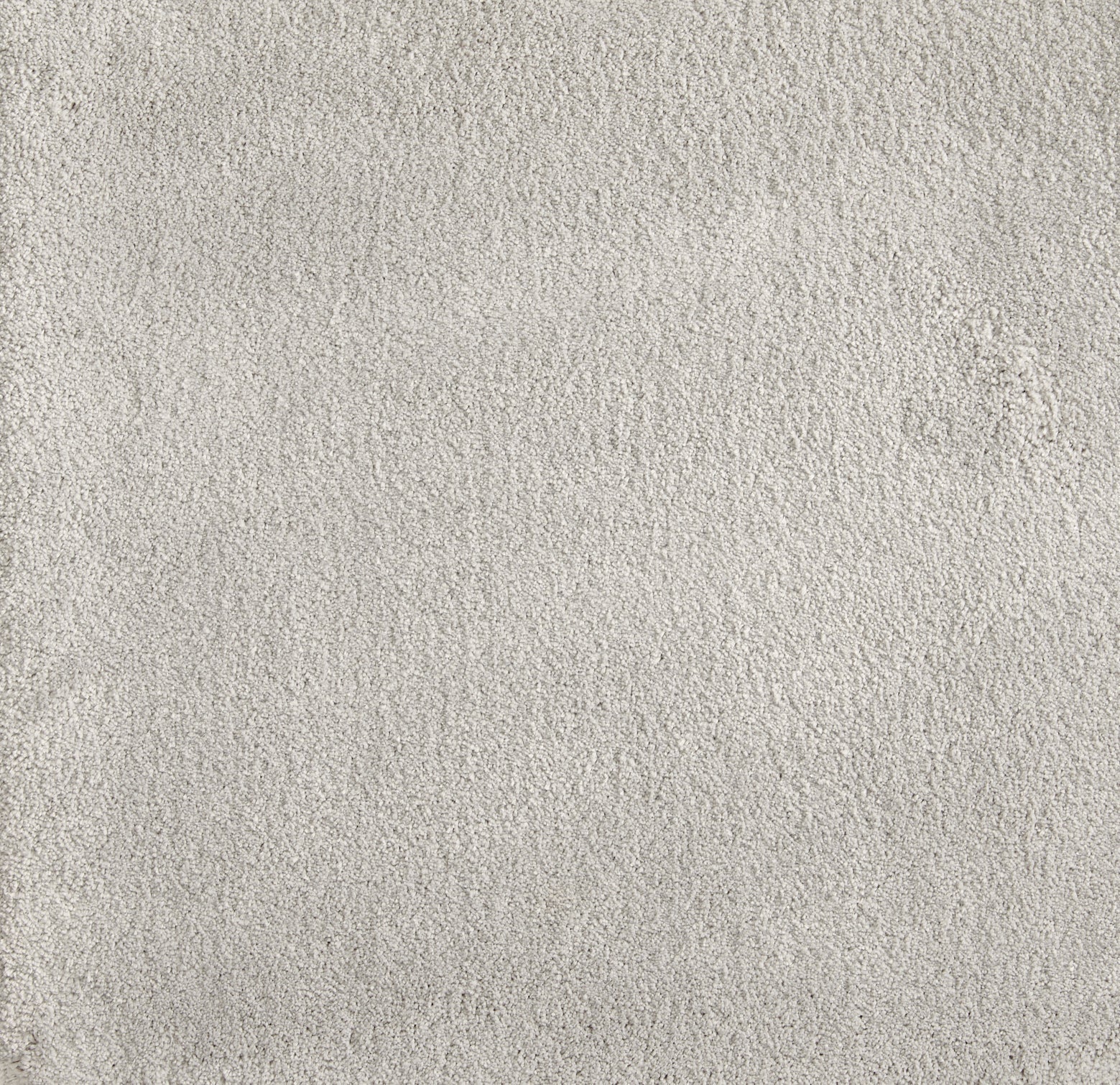Cha Cha - Snow - LuxCut Carpet