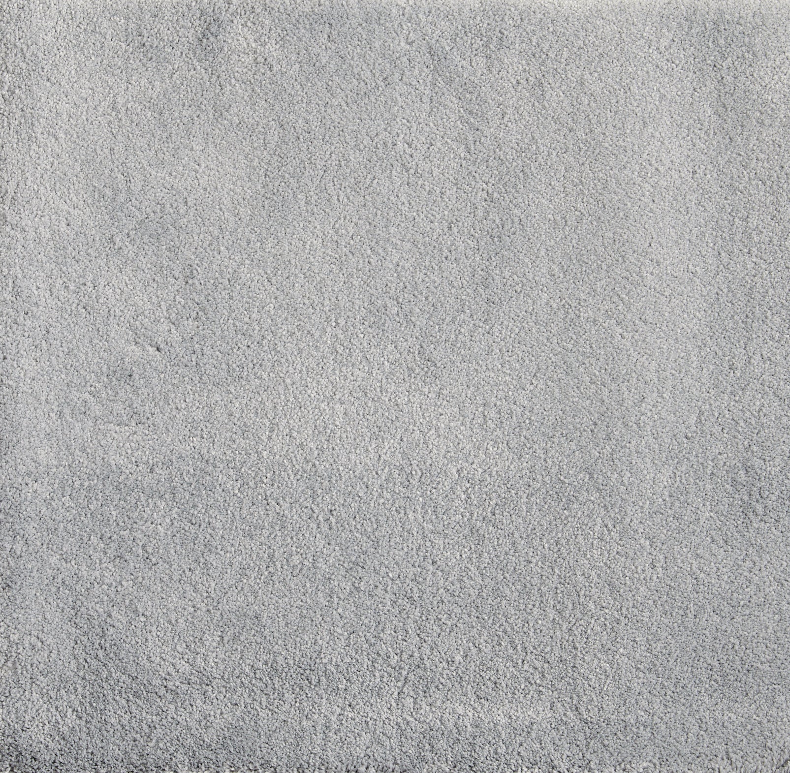 Cha Cha - Snow - LuxCut Carpet