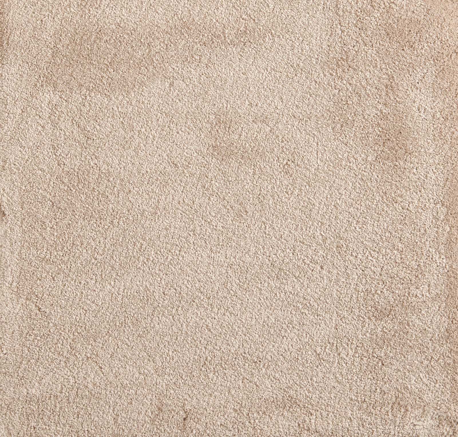 Cha Cha - Snow - LuxCut Carpet