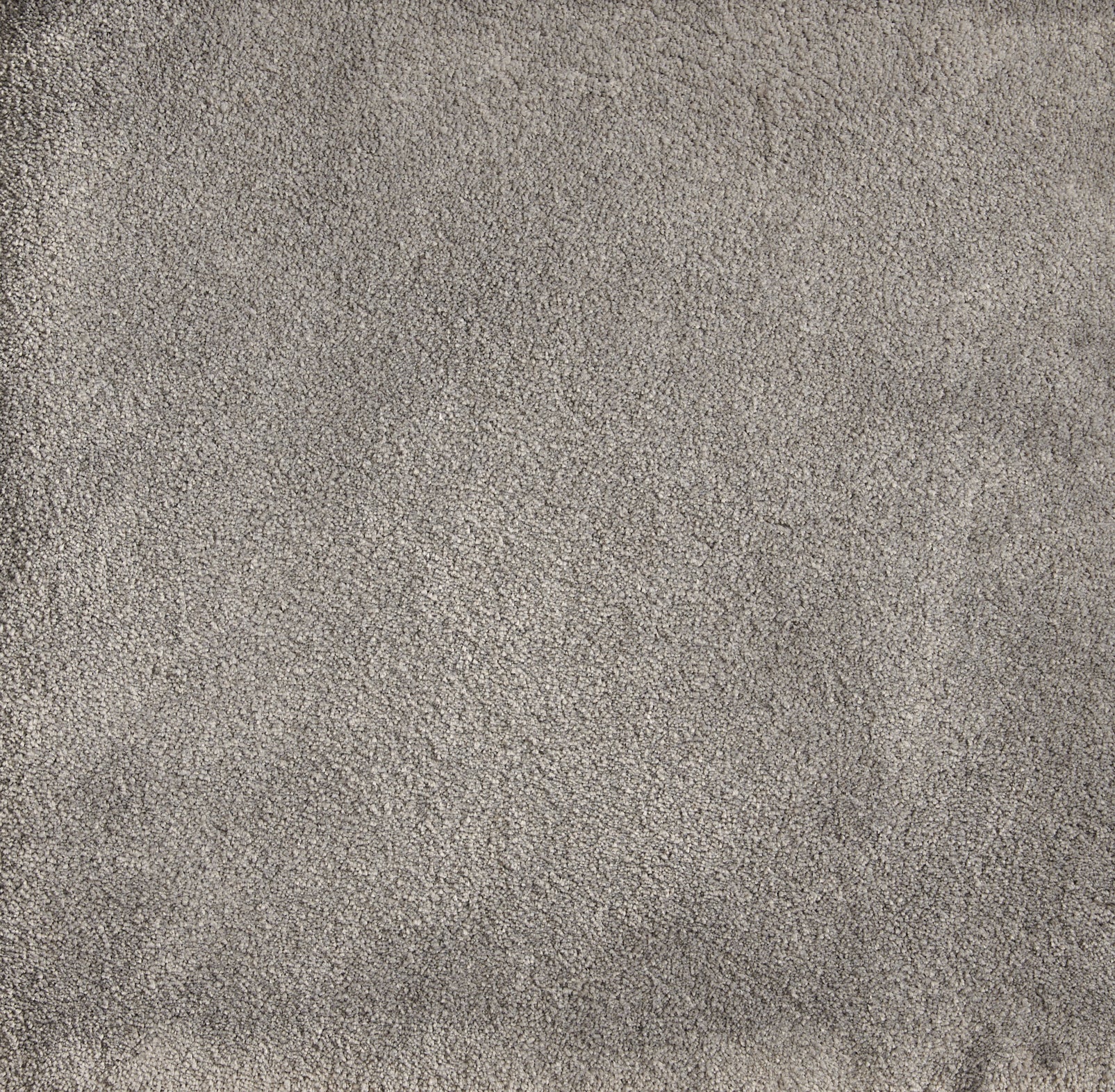Cha Cha - Snow - LuxCut Carpet