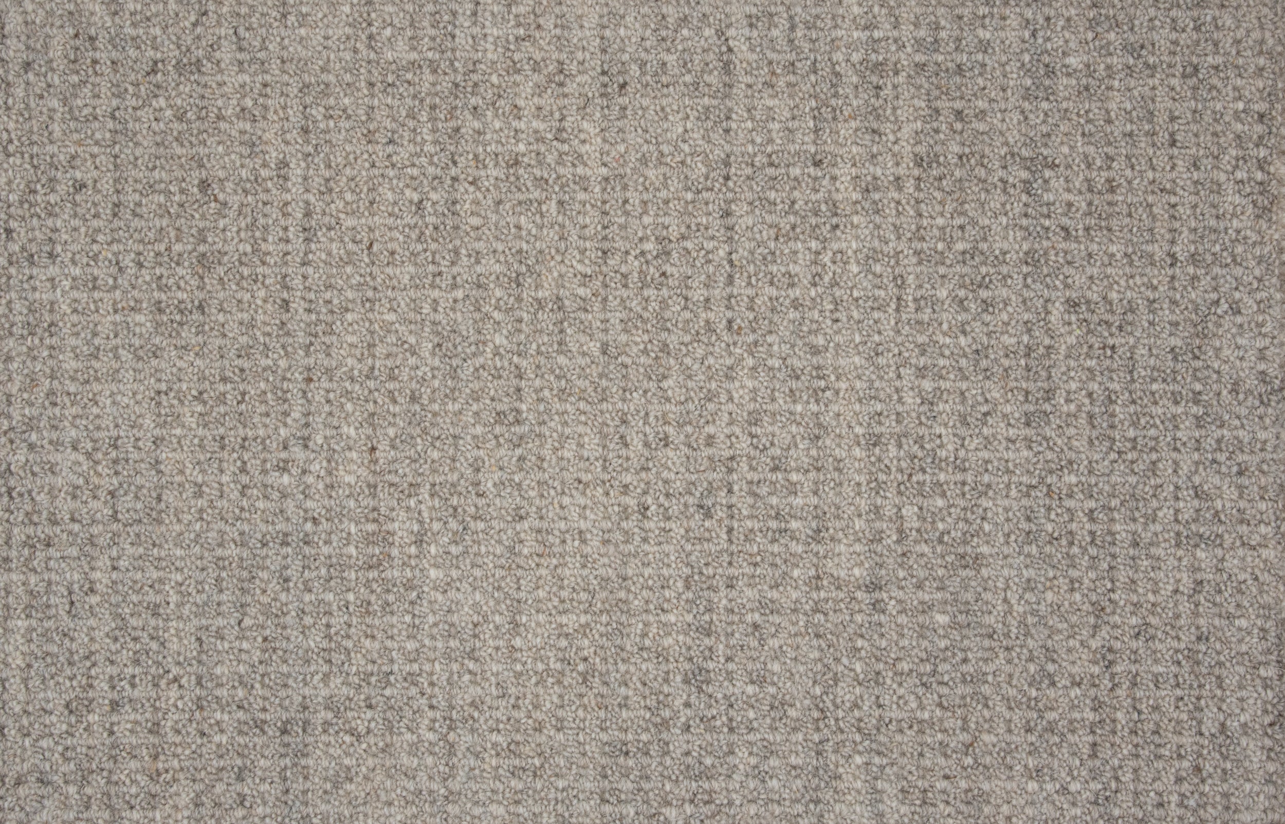 Deva Delight - Silver Dollar - LuxCut Carpet