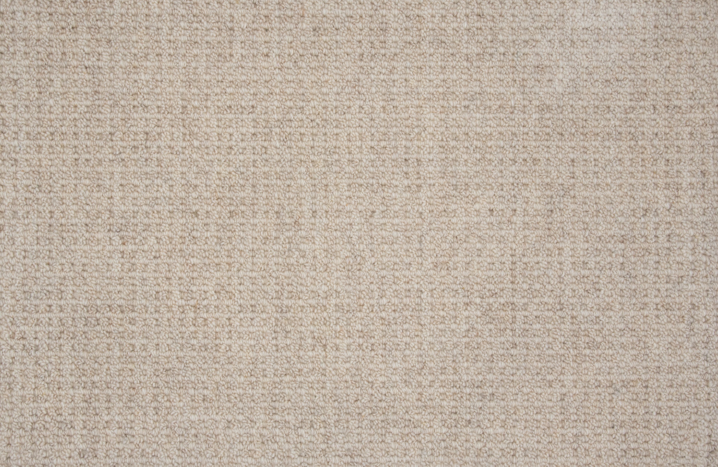 Deva Delight - Silver Dollar - LuxCut Carpet