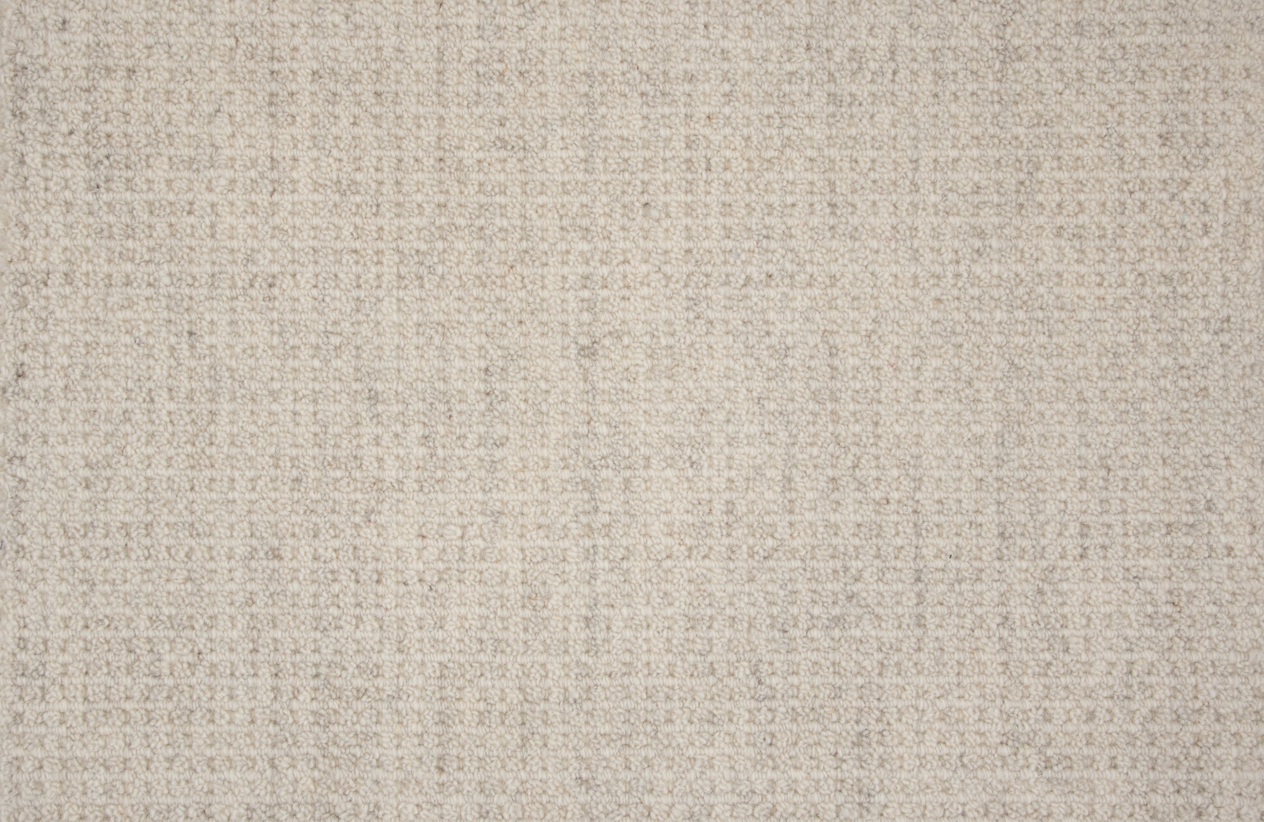 Deva Delight - Silver Dollar - LuxCut Carpet