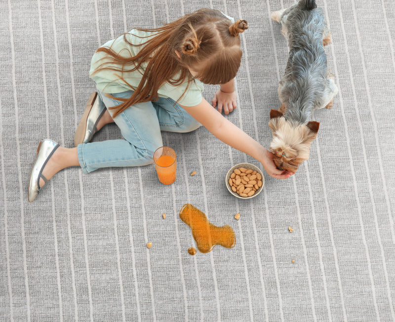 San Martino - Ocean Reef - LuxCut Carpet