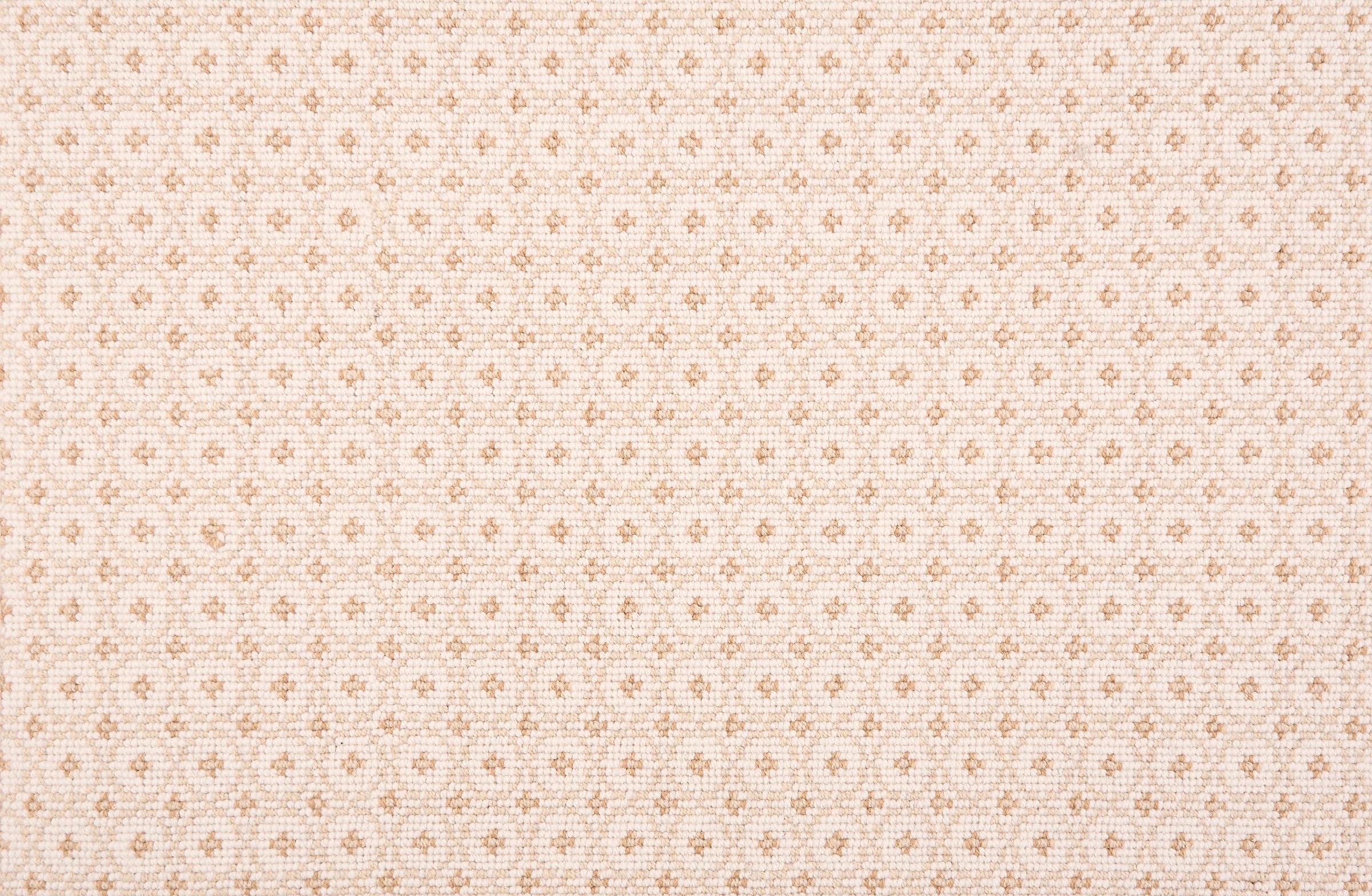 Jacqueline - Sepia - LuxCut Carpet