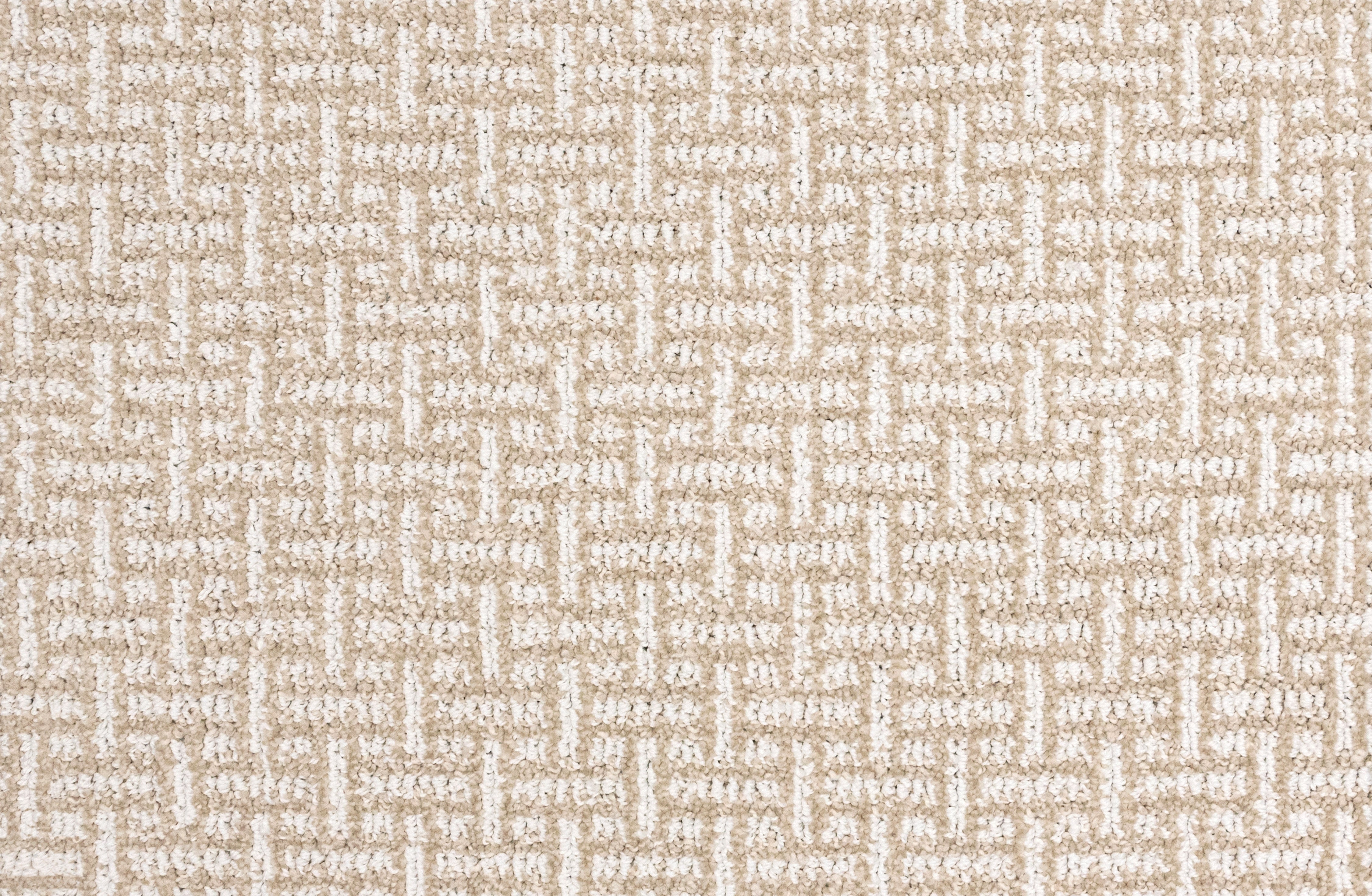 King Alfred - Chiffon - LuxCut Carpet