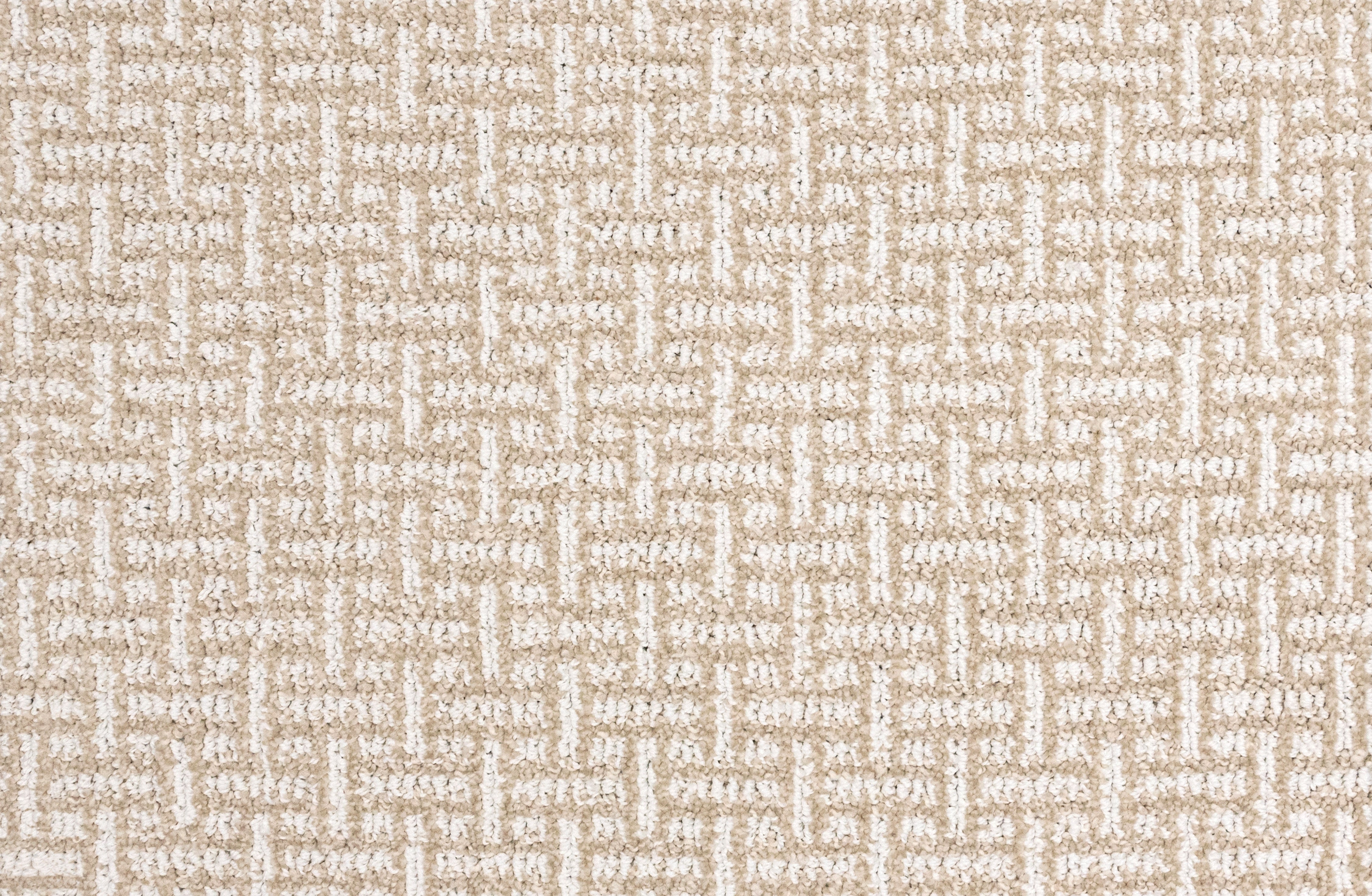King Alfred - Chiffon - LuxCut Carpet