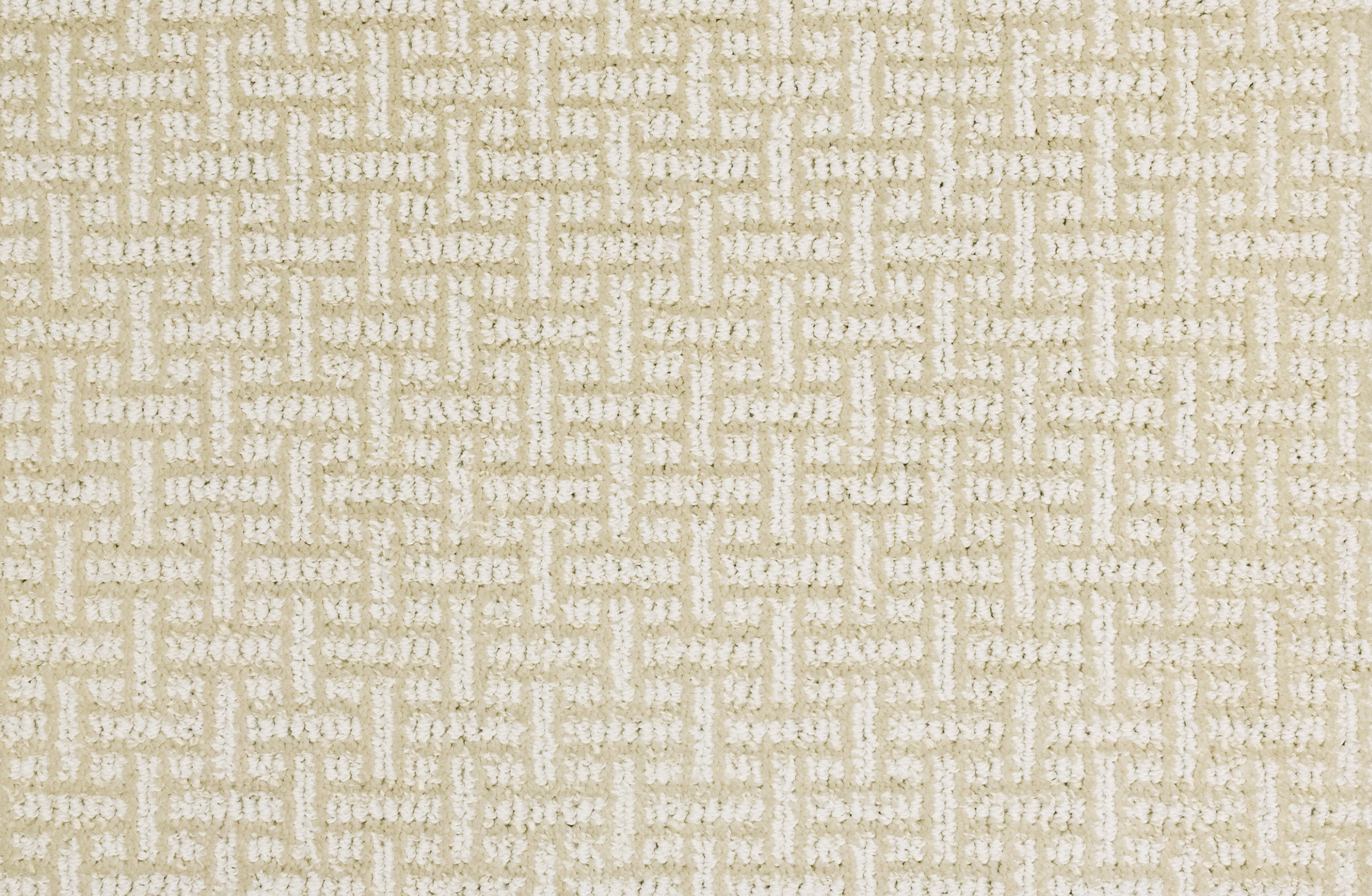 King Alfred - Chiffon - LuxCut Carpet