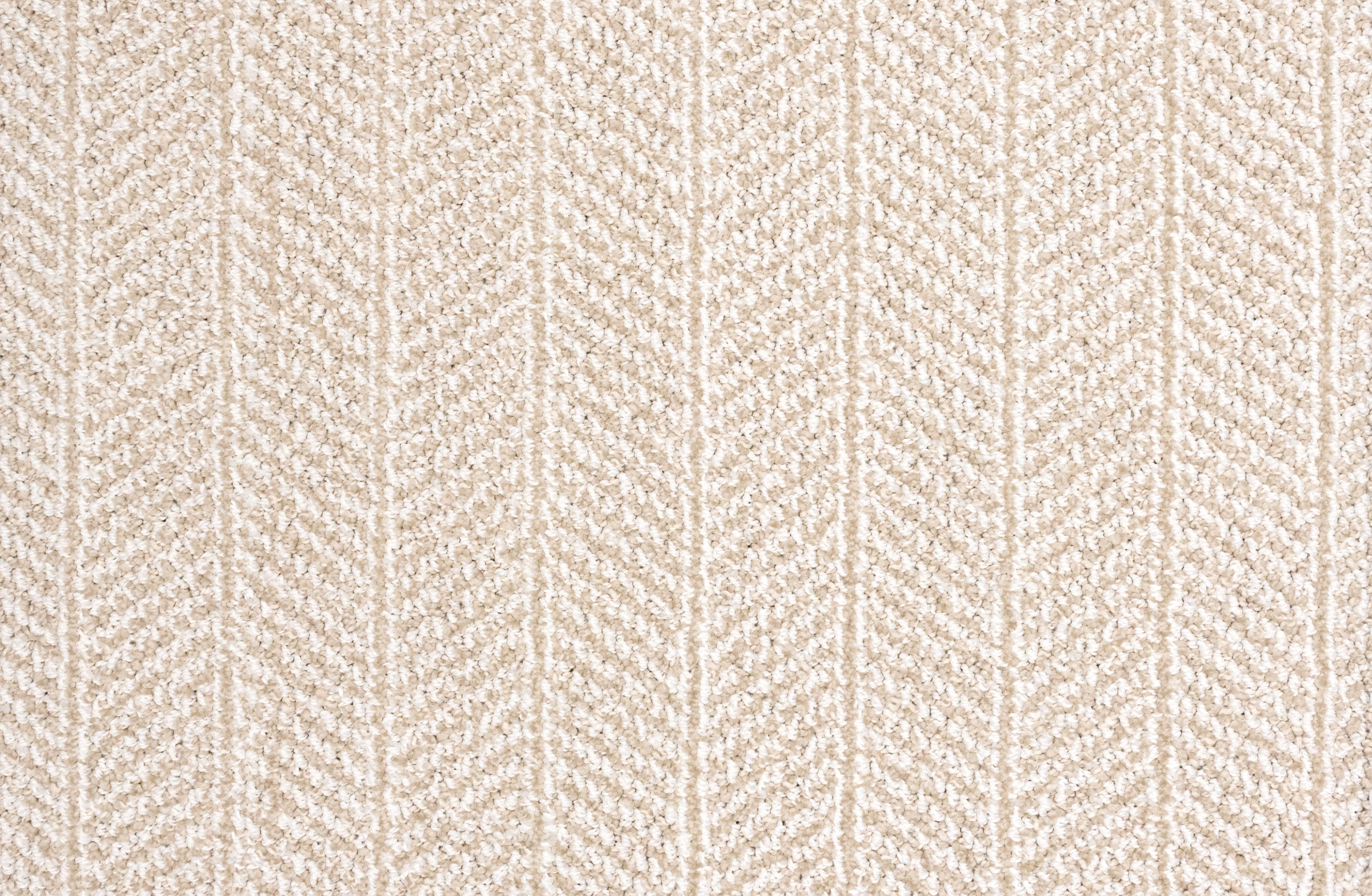 King Arthur Dove - LuxCut Carpet