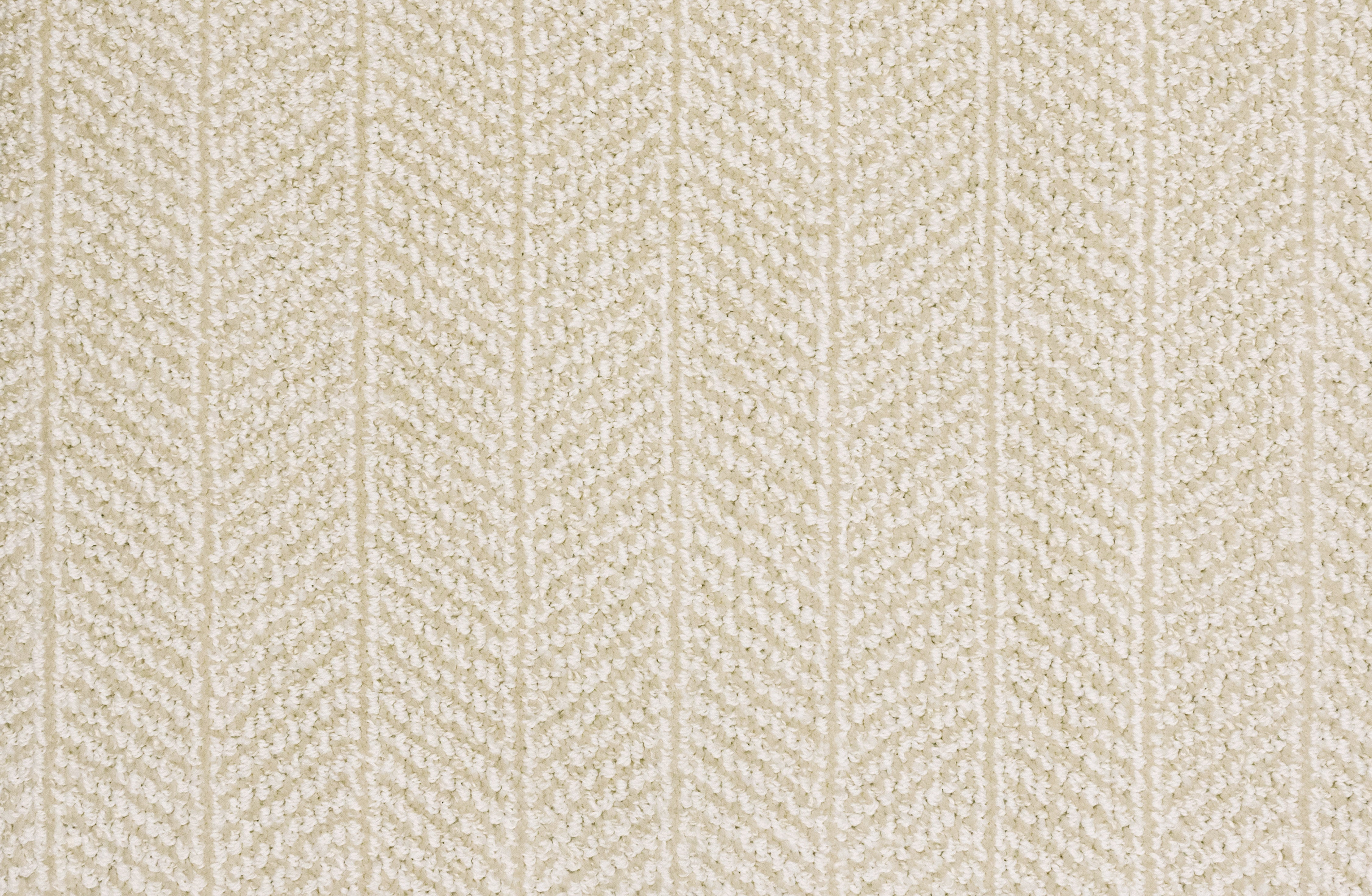 King Arthur Dove - LuxCut Carpet