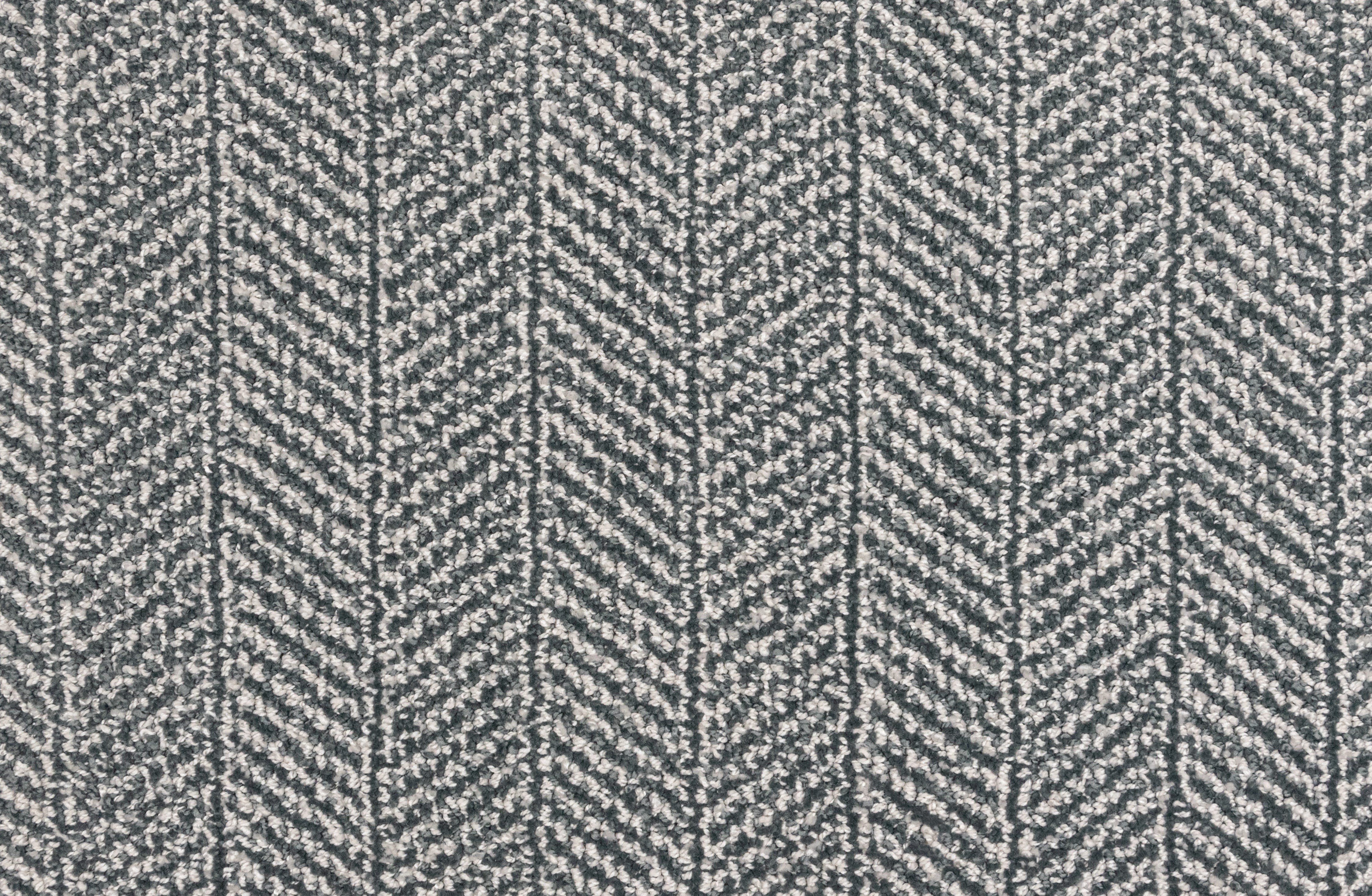 King Arthur Dove - LuxCut Carpet