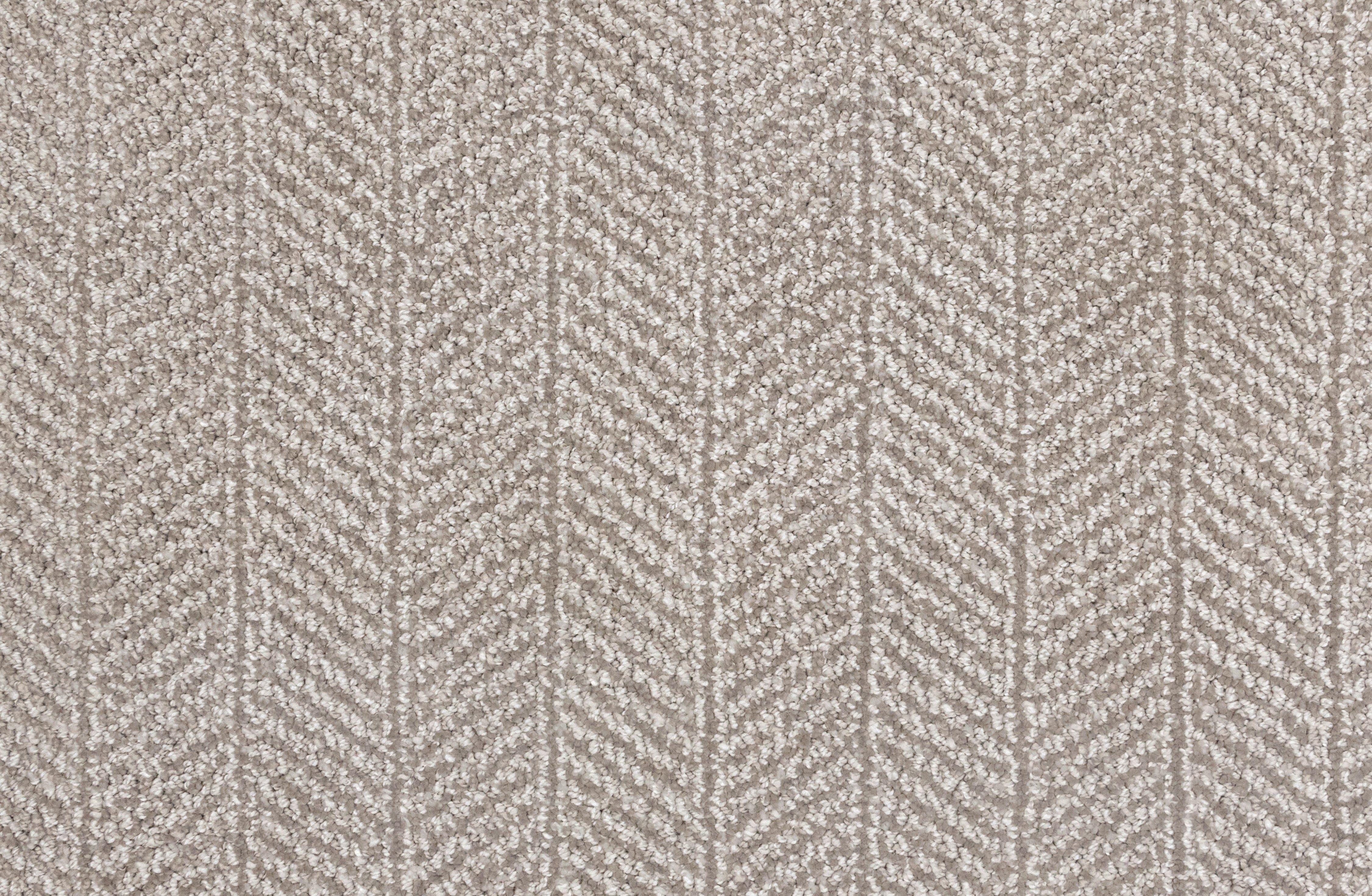 King Arthur Dove - LuxCut Carpet