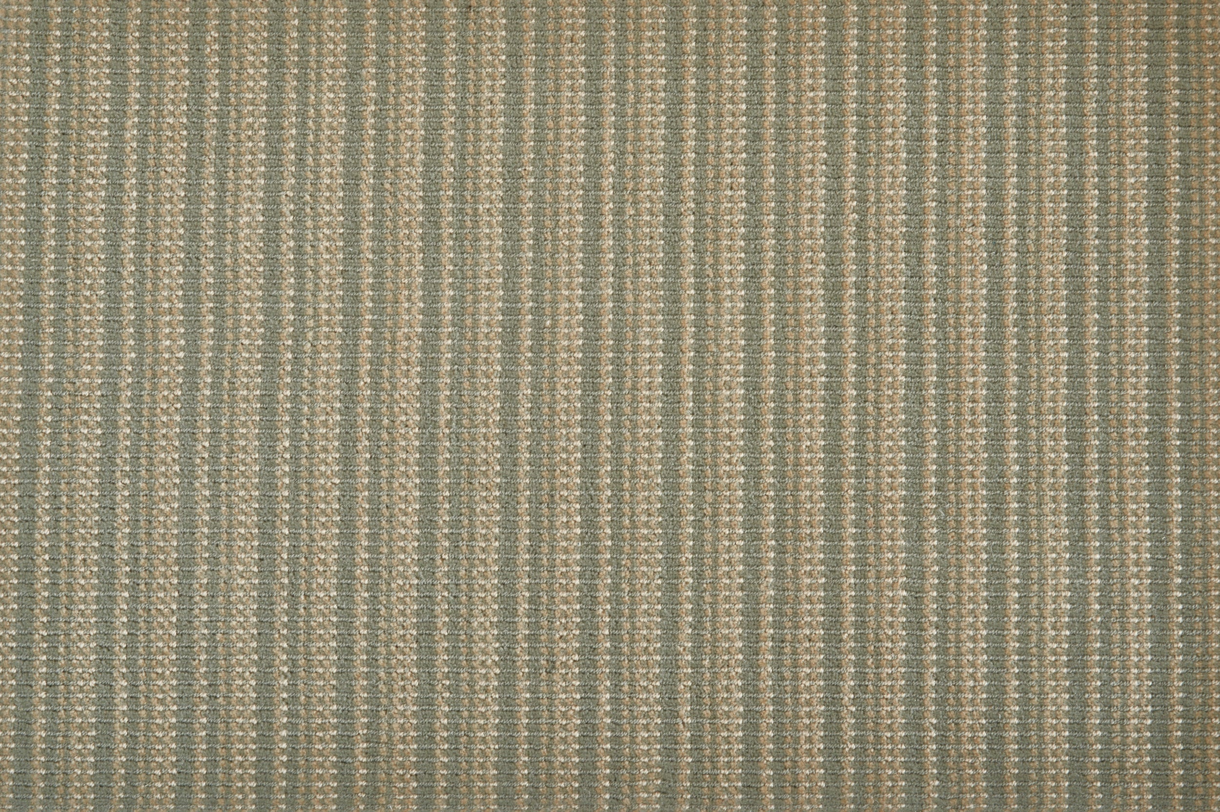 Cha Cha - Snow - LuxCut Carpet