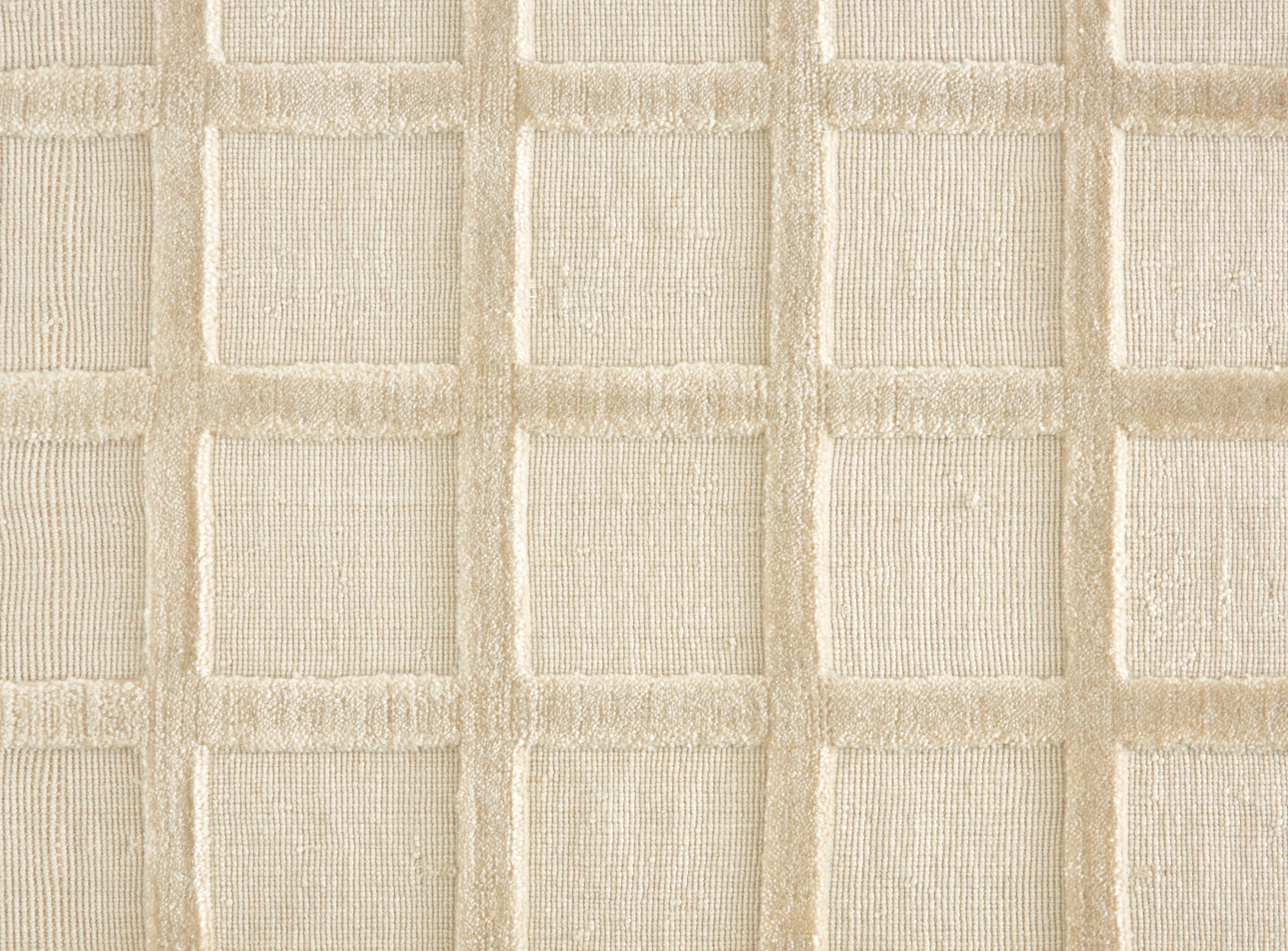 Nexus Squared - Macaw - LuxCut Carpet