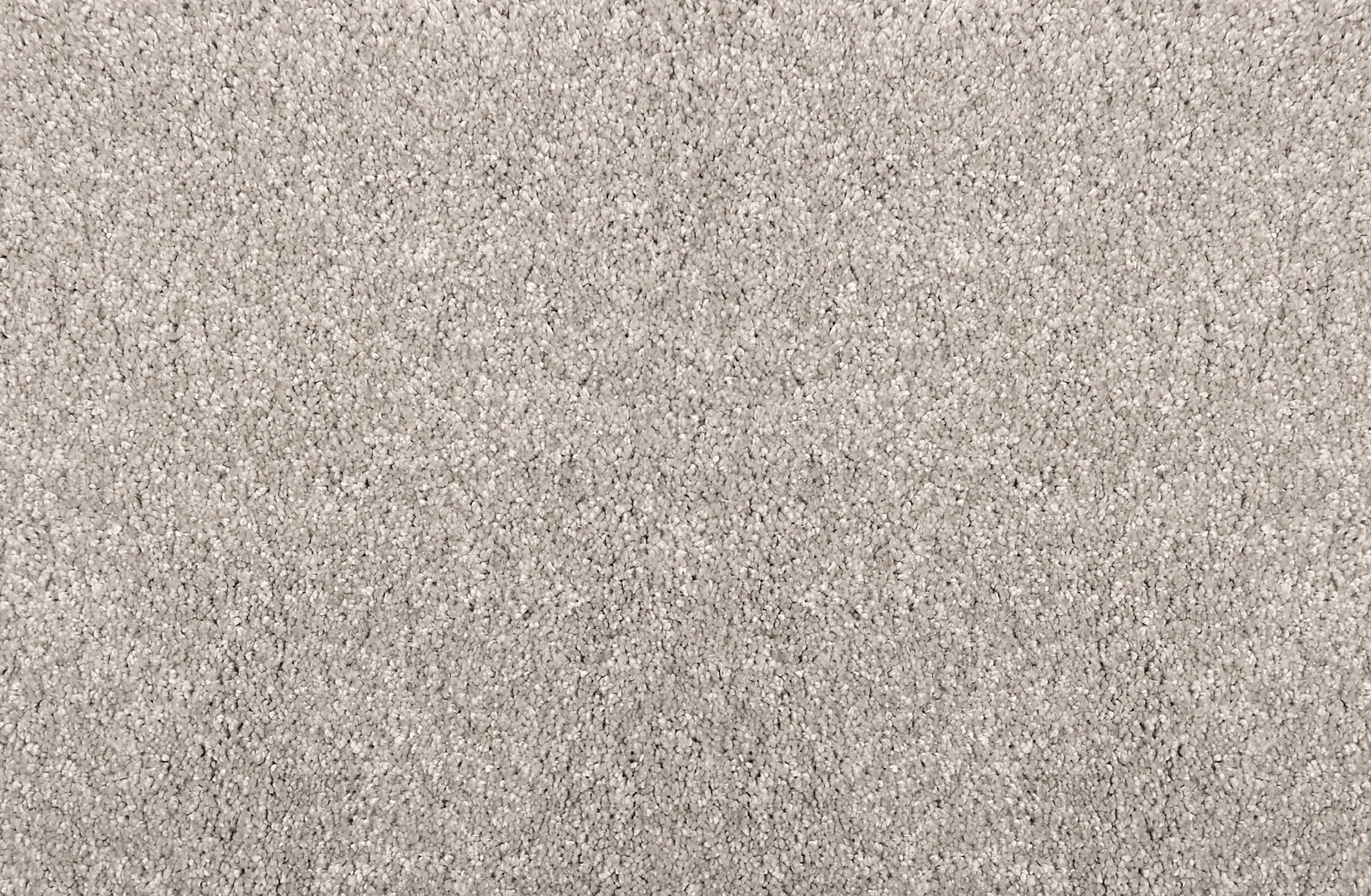 Noble - Soft Silver - LuxCut Carpet