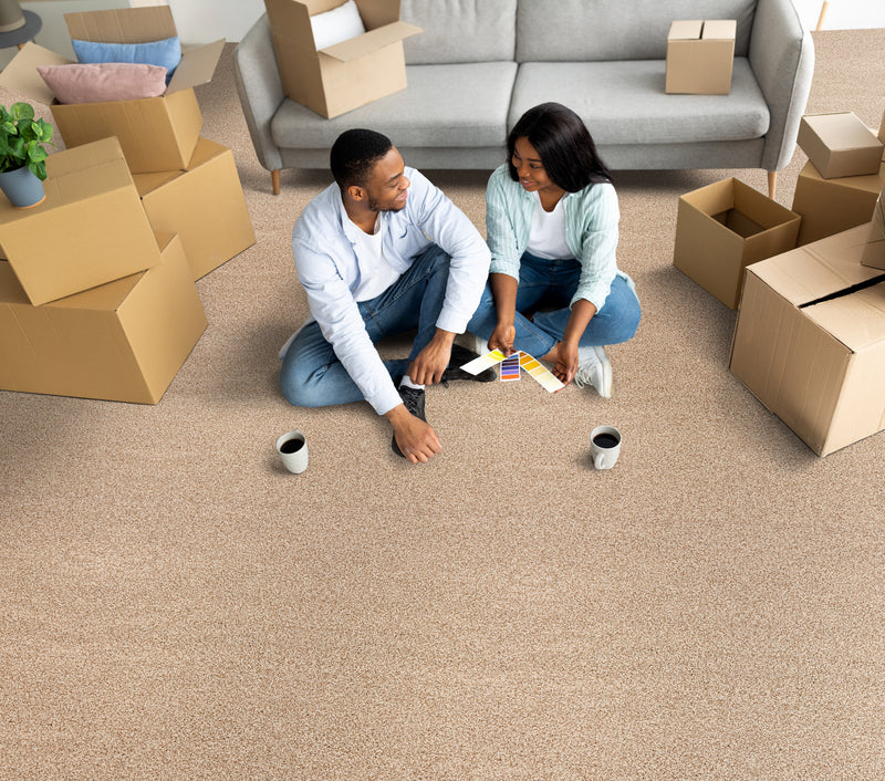 ATELIER CAMELOT Plush Ii - LuxCut Carpet