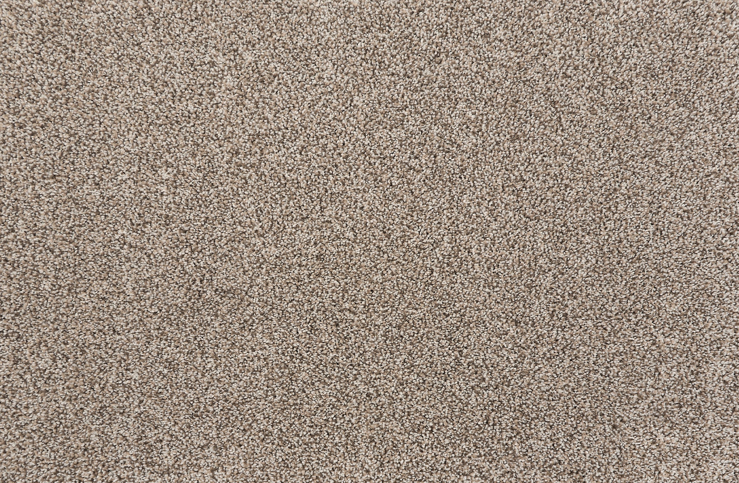 ATELIER CAMELOT Plush Ii - LuxCut Carpet