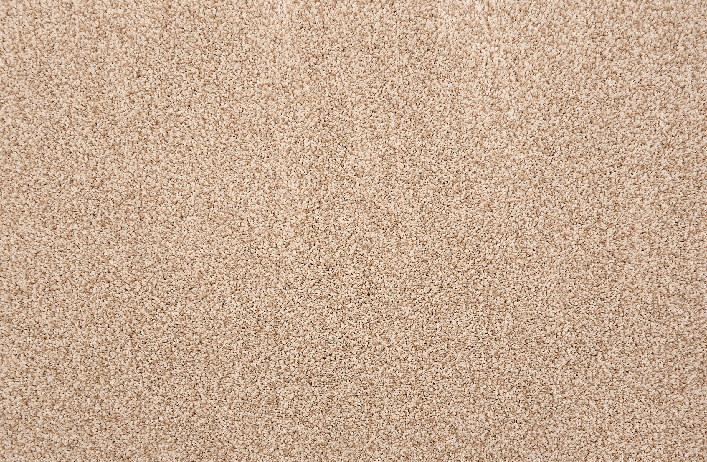 ATELIER CAMELOT Plush Ii - LuxCut Carpet
