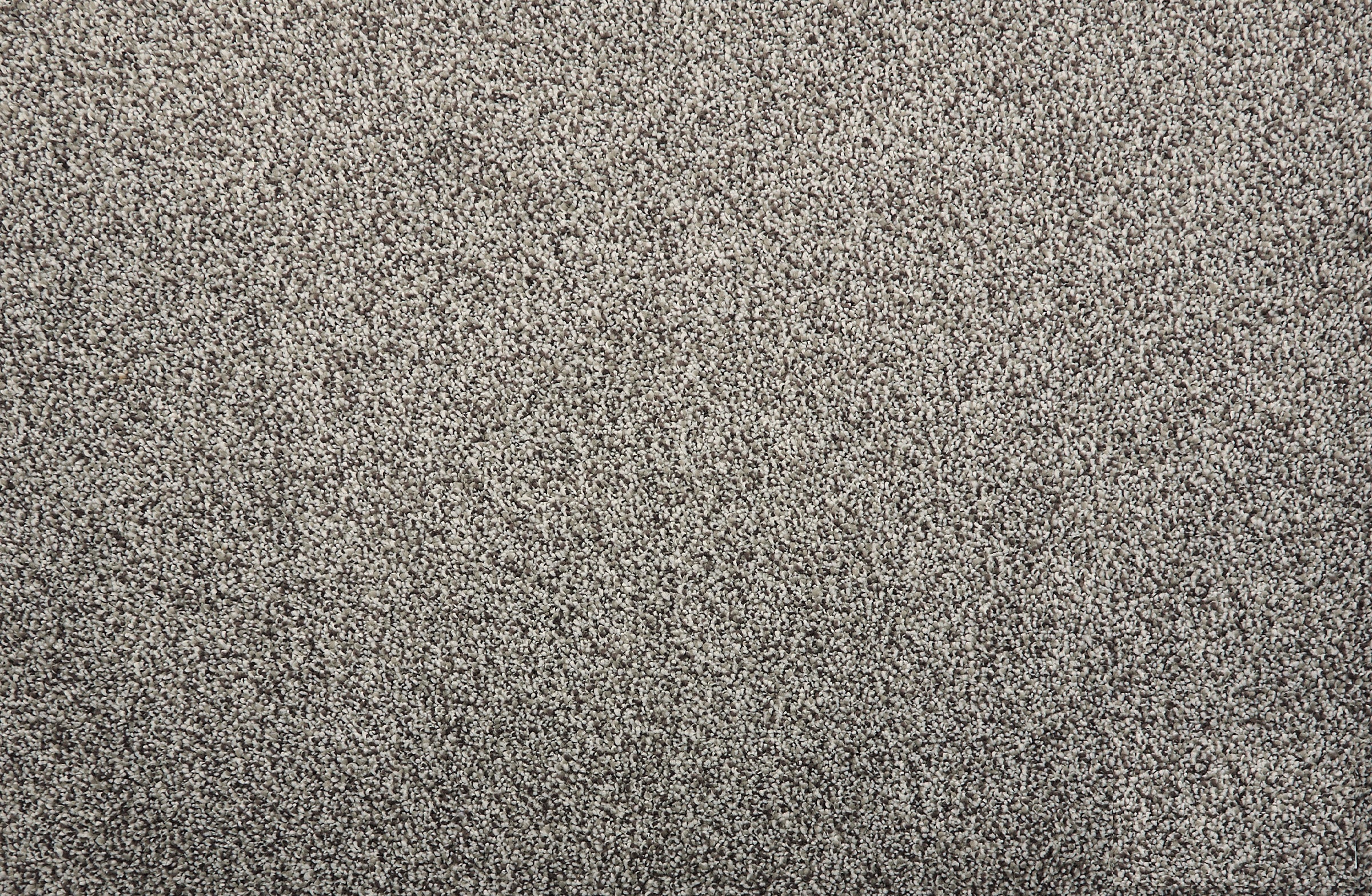 ATELIER CAMELOT Plush Ii - LuxCut Carpet
