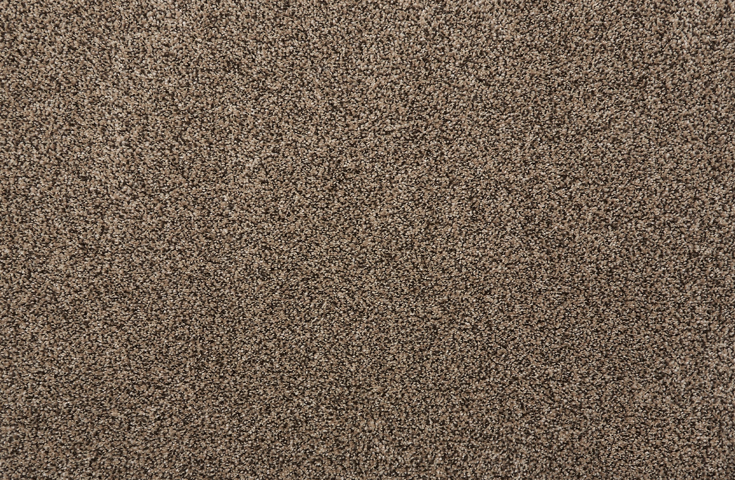 Quest Plush I - Pebble - LuxCut Carpet