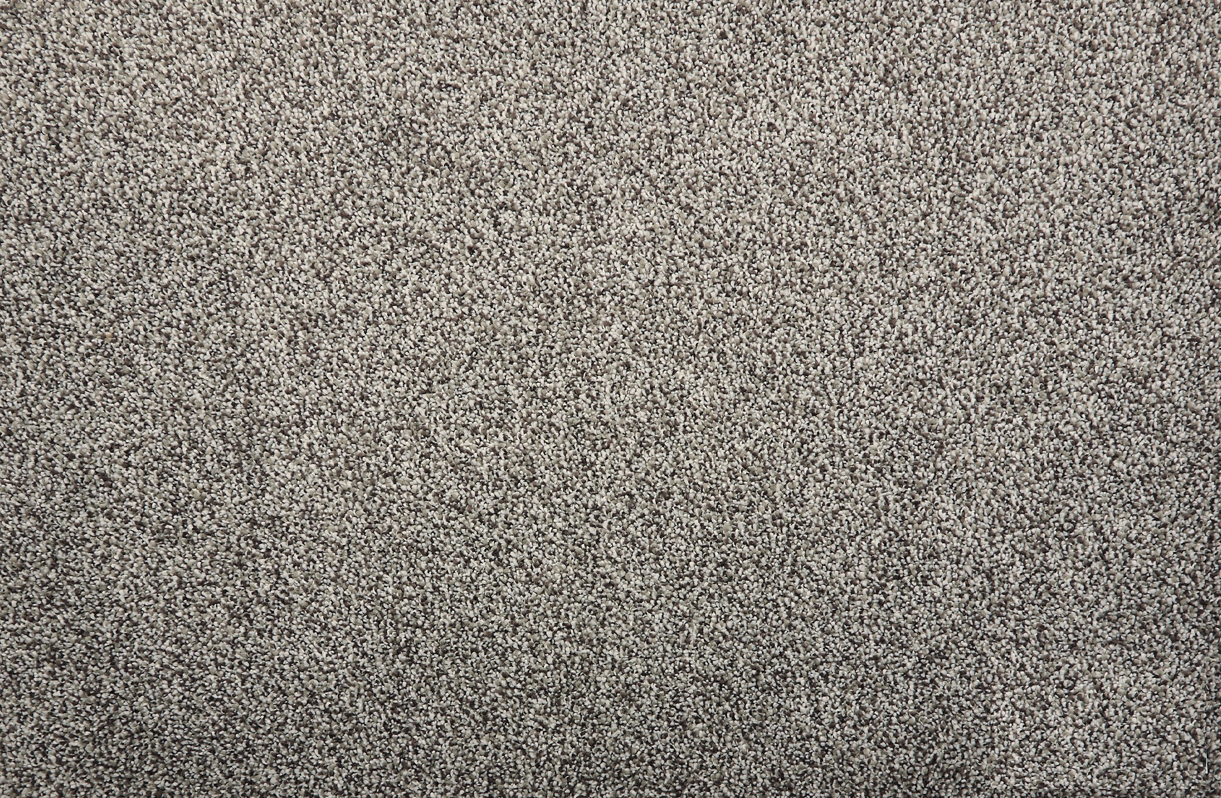 Quest Plush I - Pebble - LuxCut Carpet