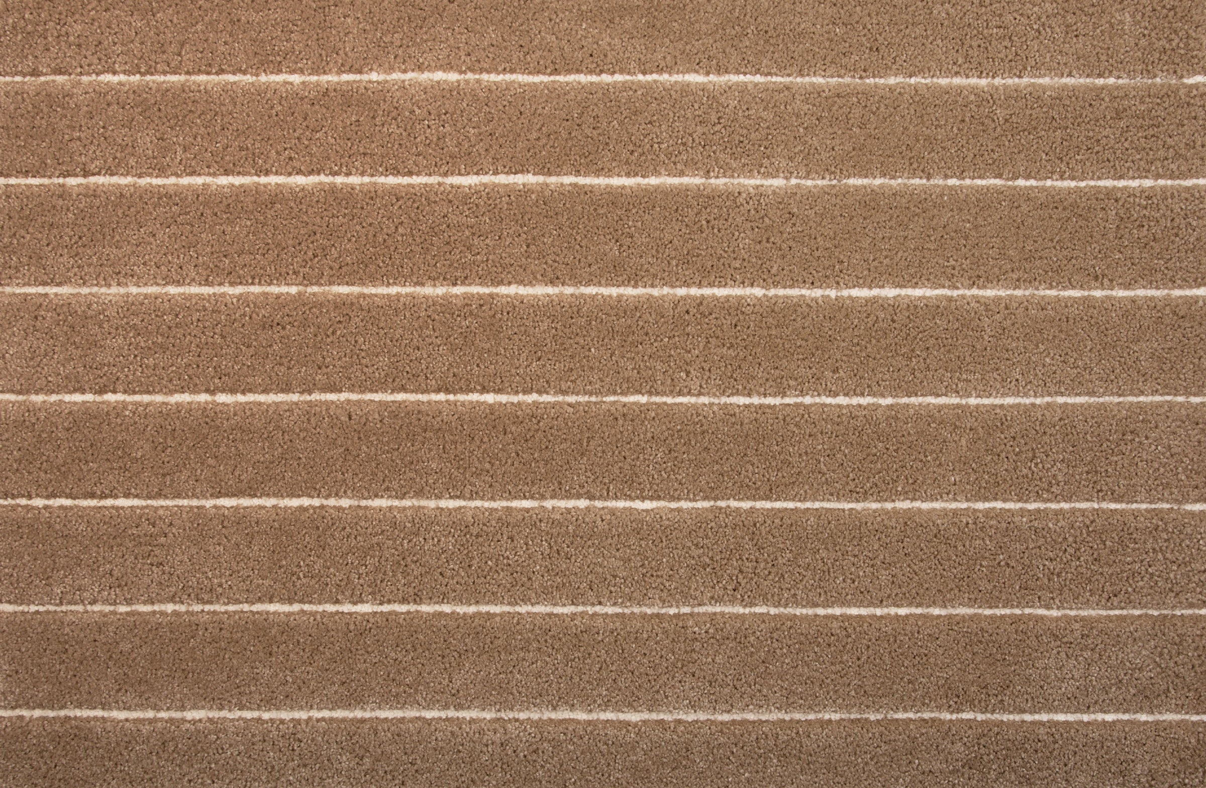 San Giorgio - Harbor Grey - LuxCut Carpet
