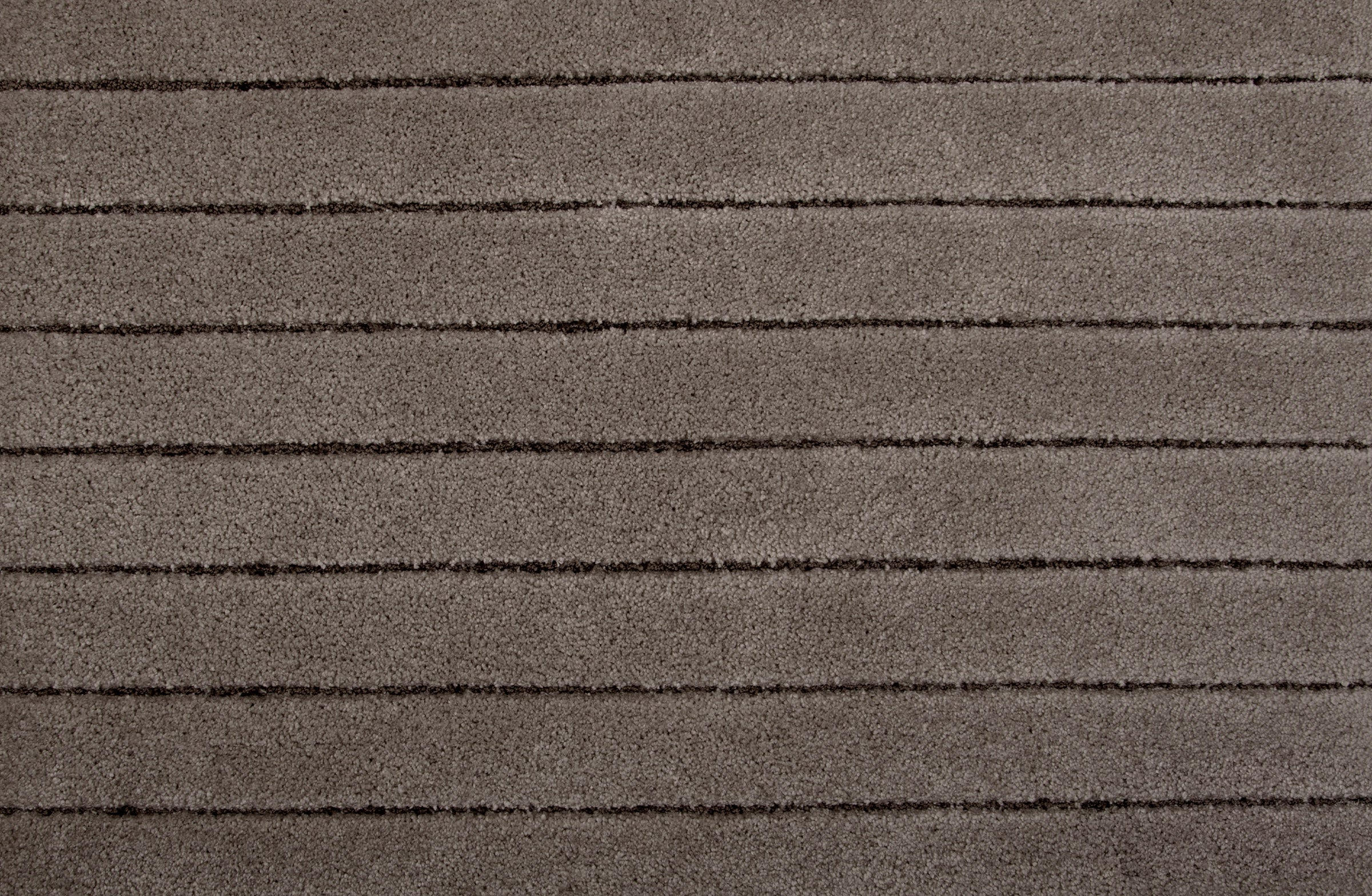 San Giorgio - Harbor Grey - LuxCut Carpet