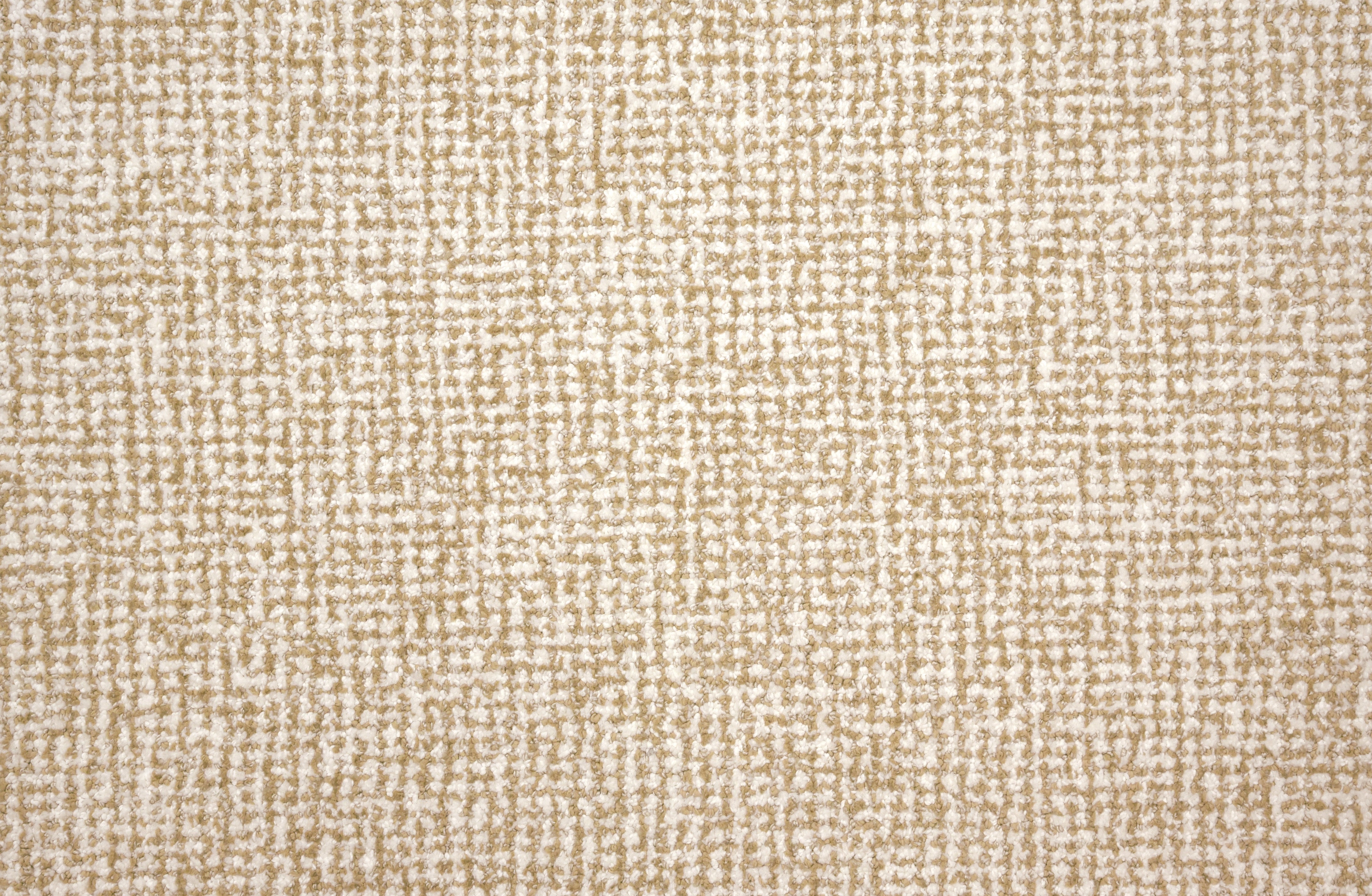 San Salvador - Frosted Cashmere - LuxCut Carpet