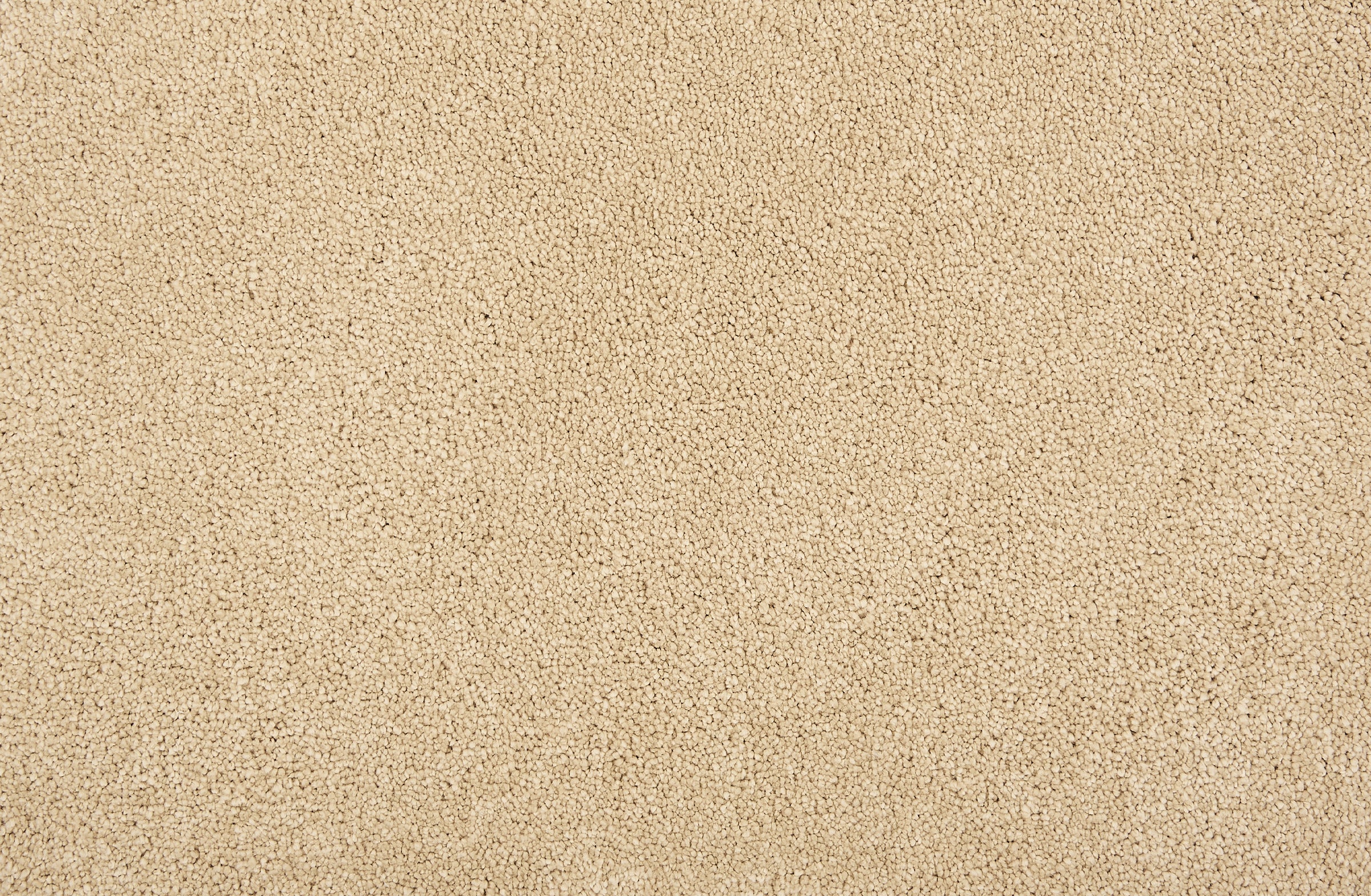 Wessex I - Smoke - LuxCut Carpet