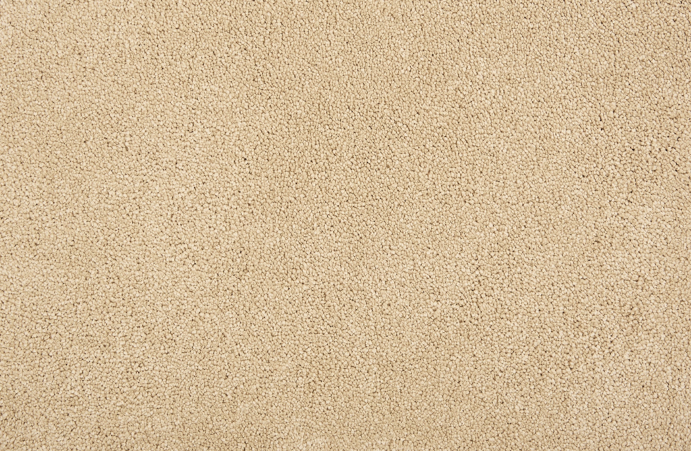 Wessex II - Smoke - LuxCut Carpet