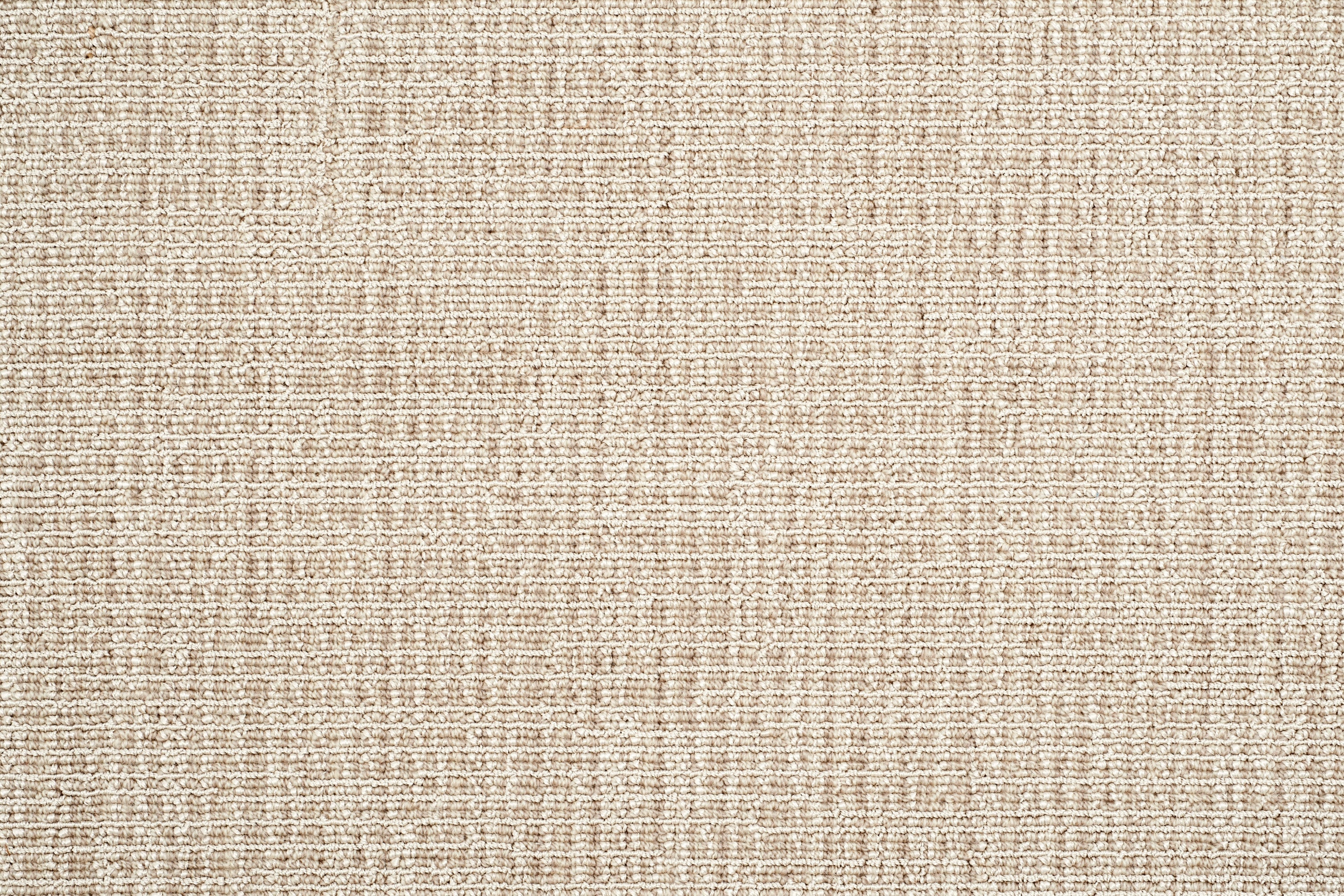 Carrera - Cloudburst - LuxCut Carpet