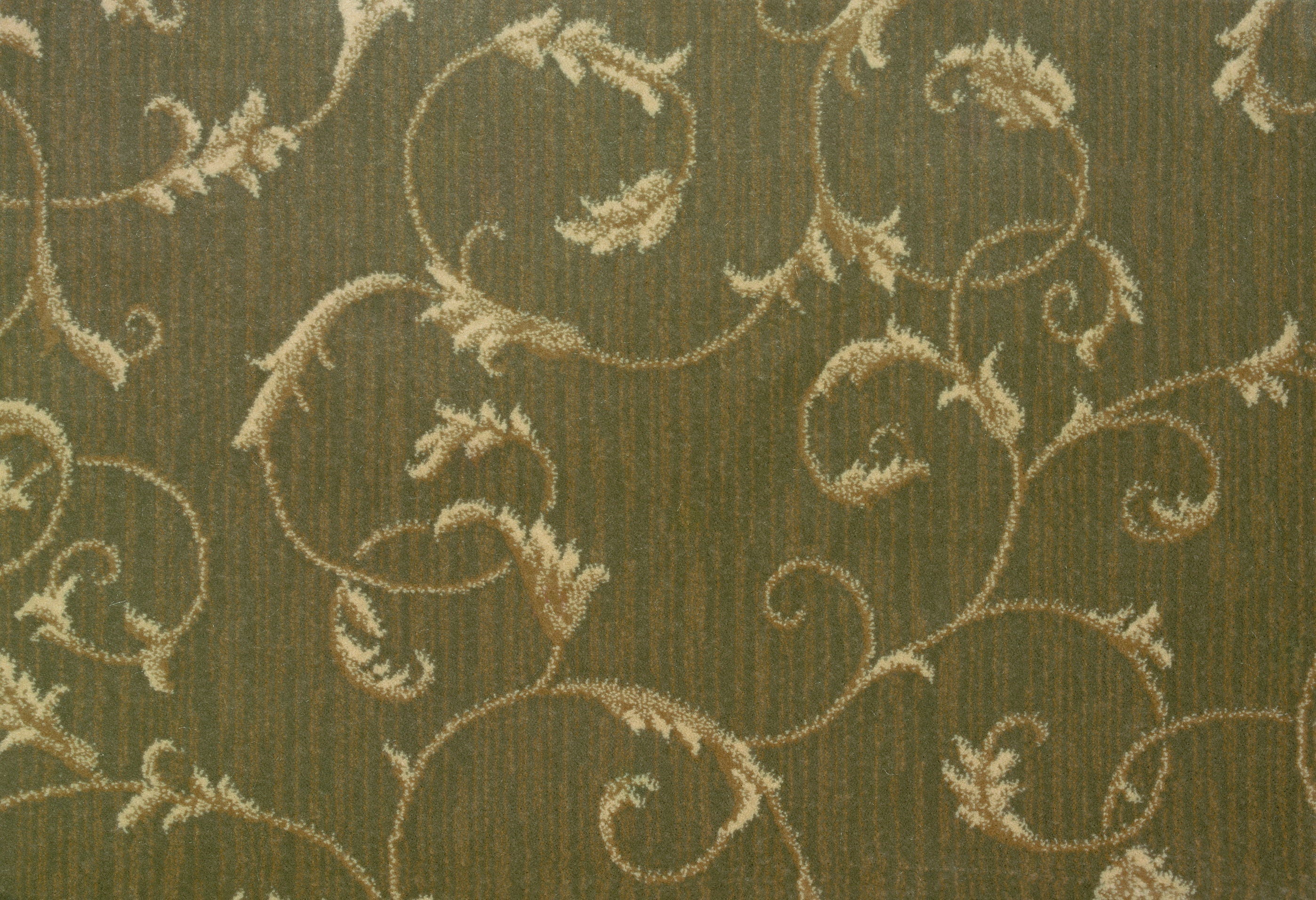 Montpelier - Blackstone - LuxCut Carpet