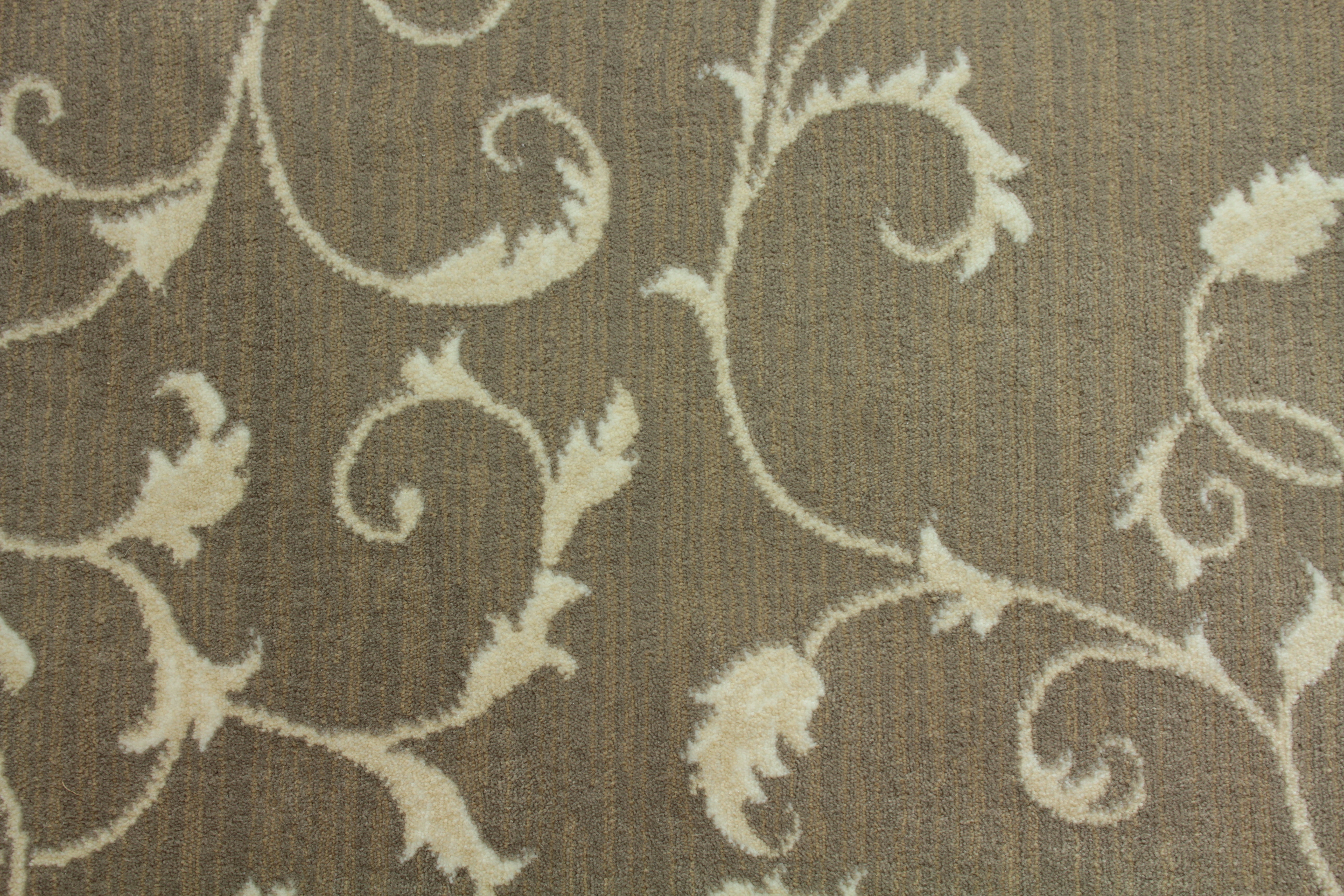 Montpelier - Blackstone - LuxCut Carpet