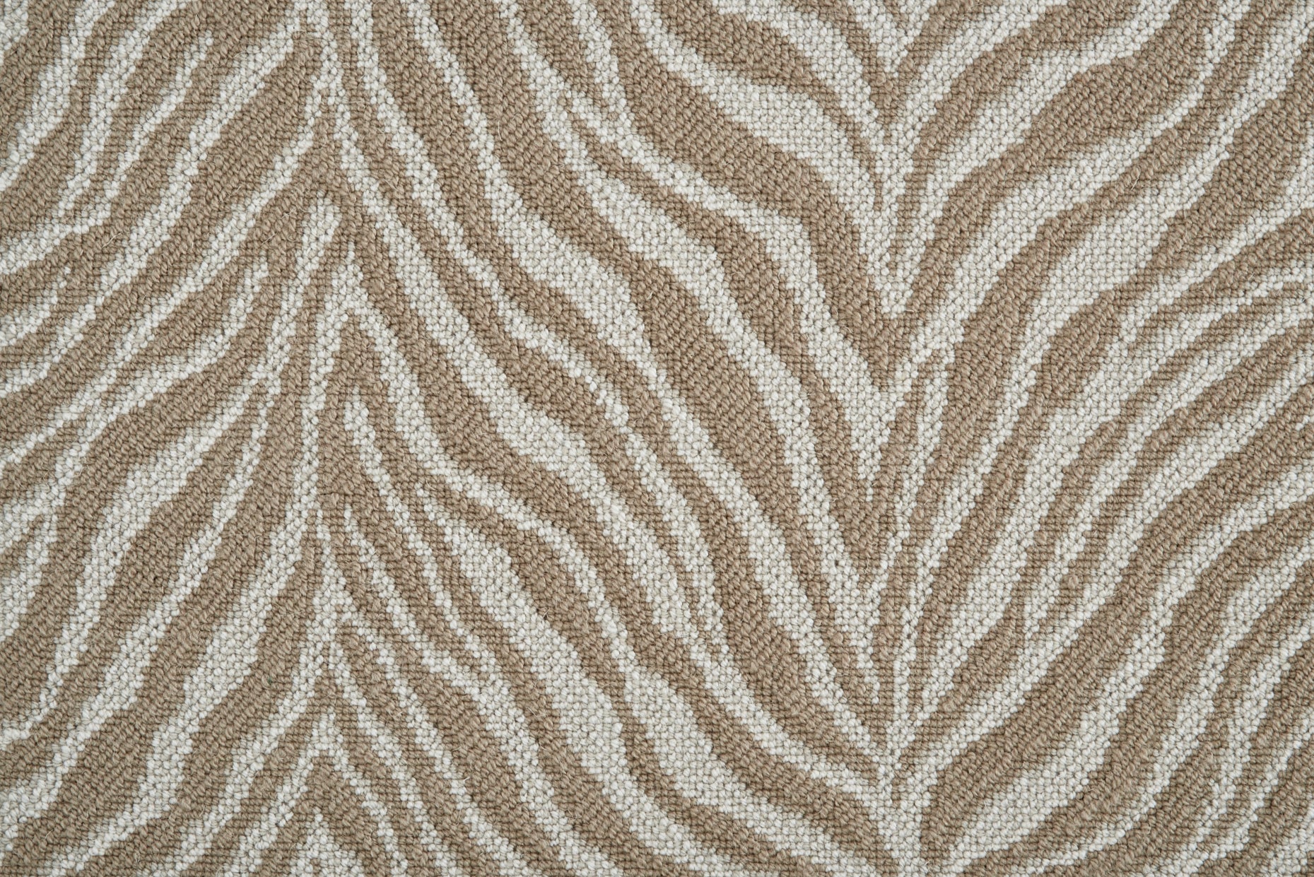 Talia - Breaker White - LuxCut Carpet