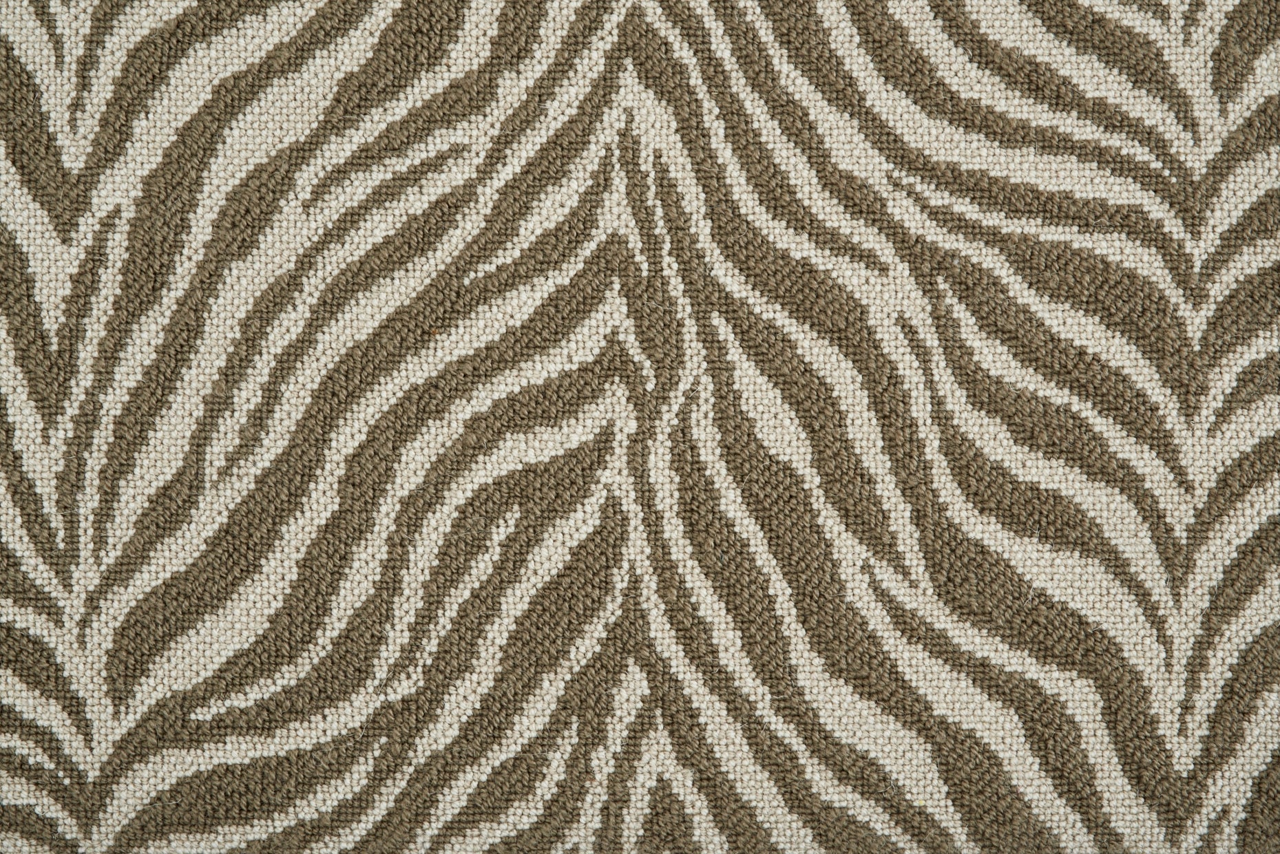 Talia - Breaker White - LuxCut Carpet