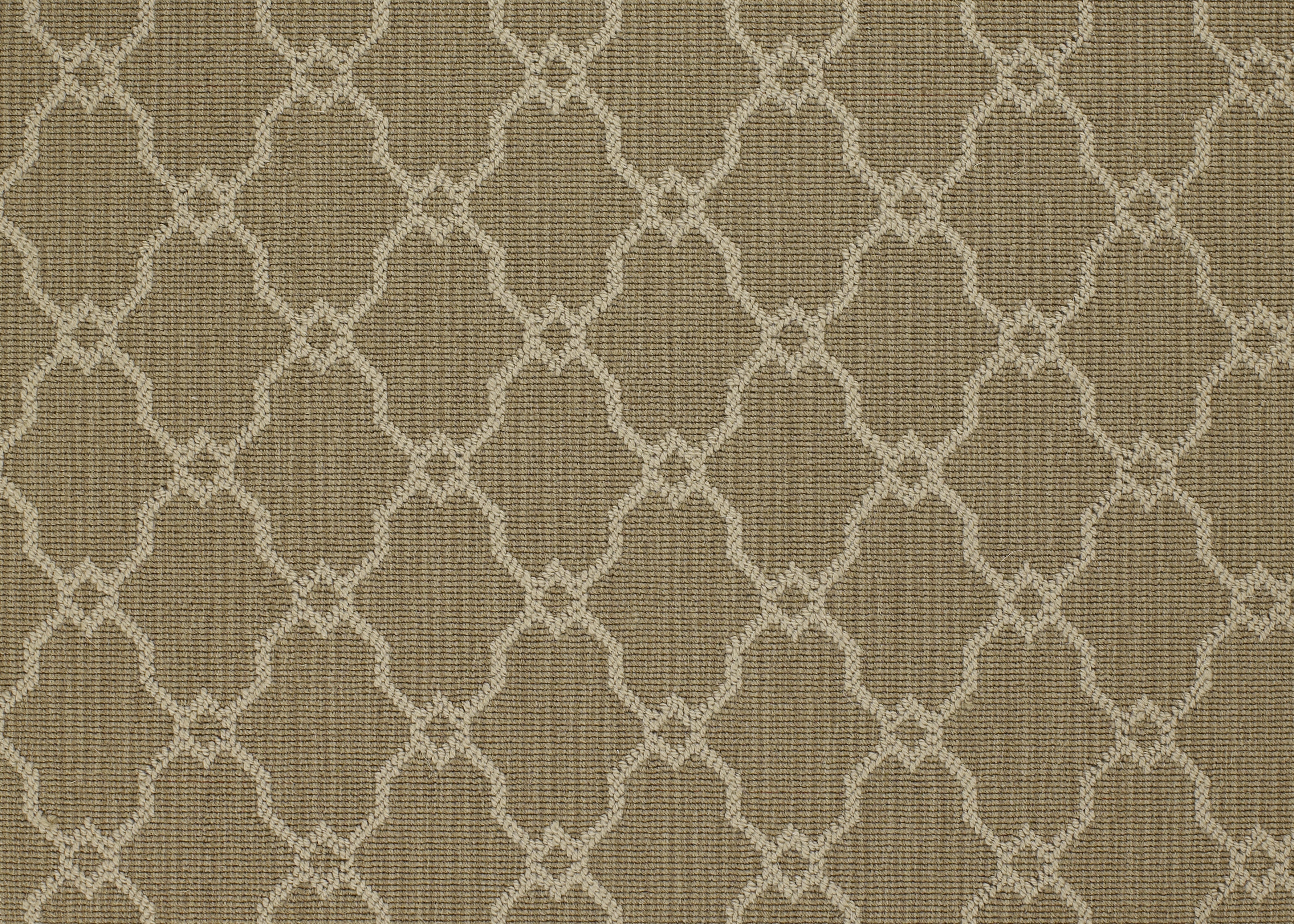 Whittier - Gunmetal - LuxCut Carpet